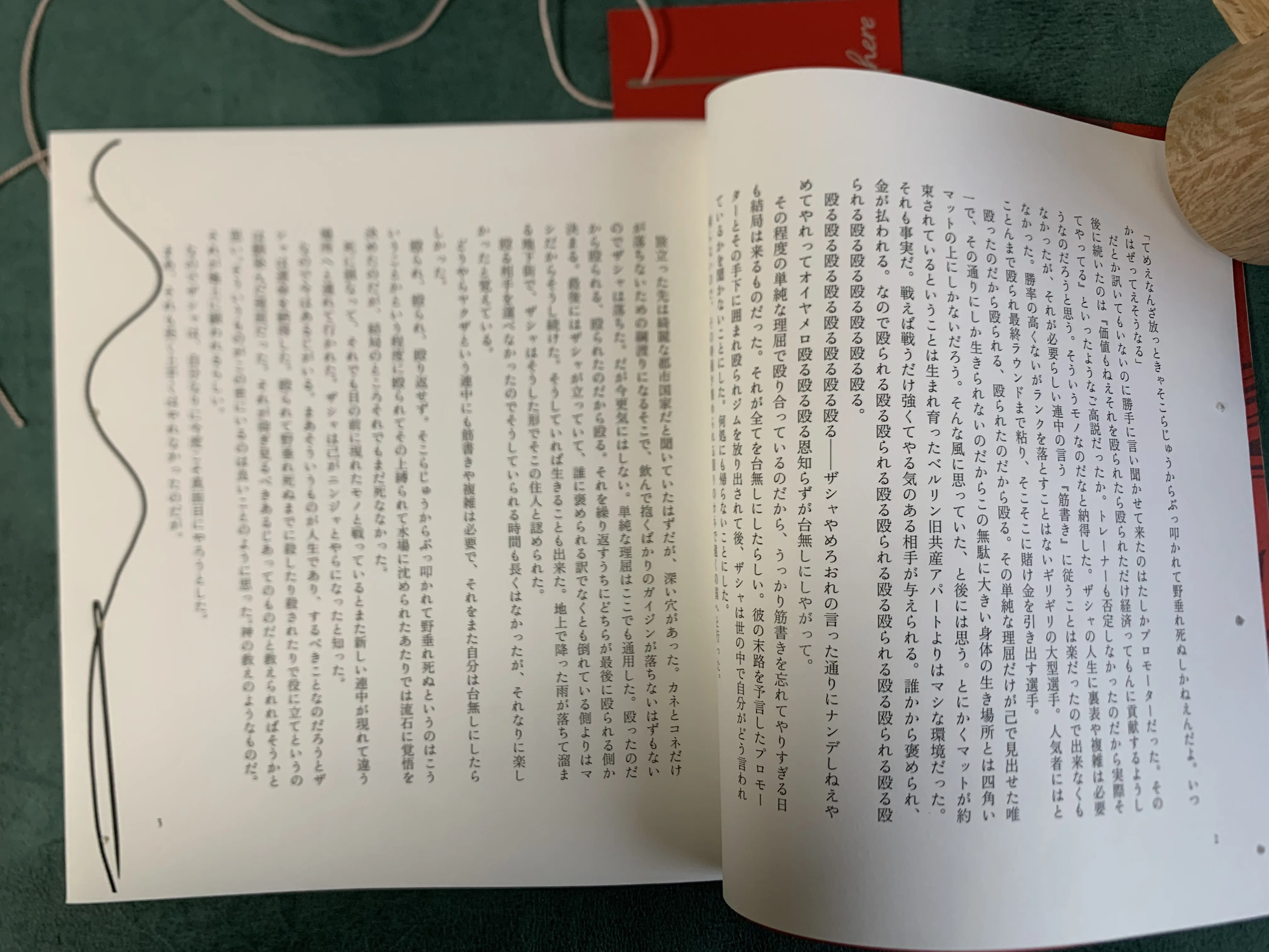2025年に作った同人誌の表紙とか紙とか｜もみこ