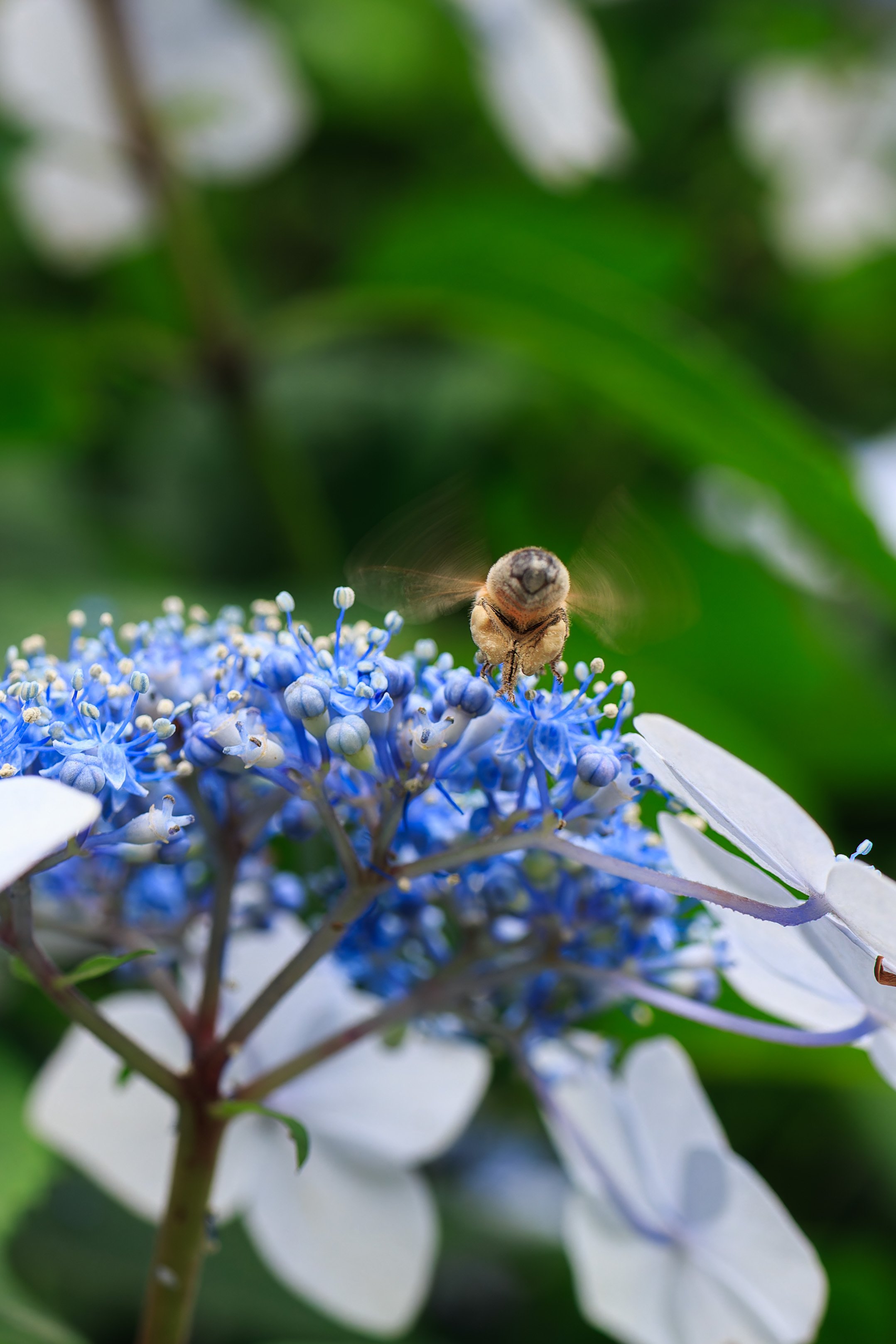 コスパ最強Canon EOS Kiss X7｜tackphoto