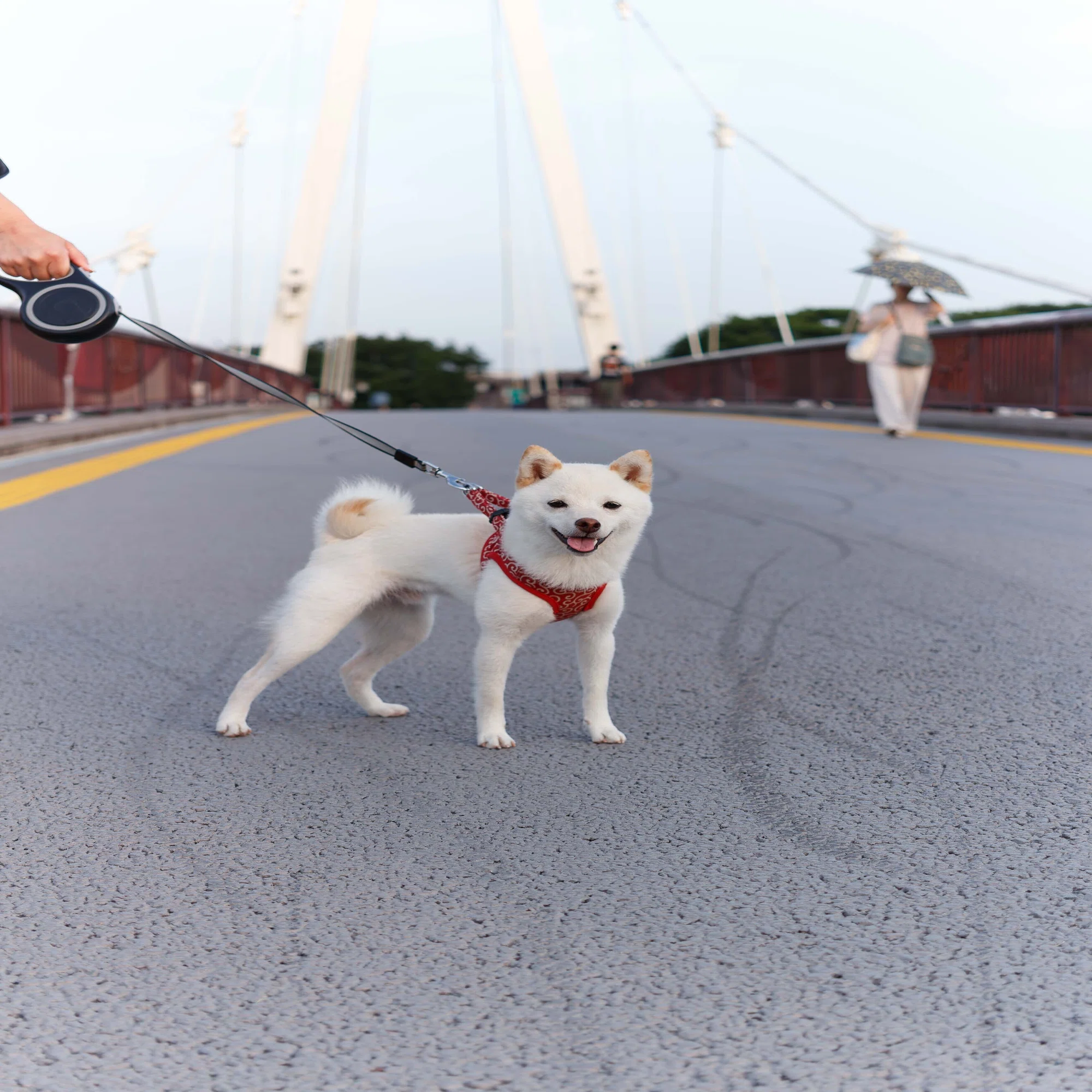 コスパ最強Canon EOS Kiss X7｜tackphoto