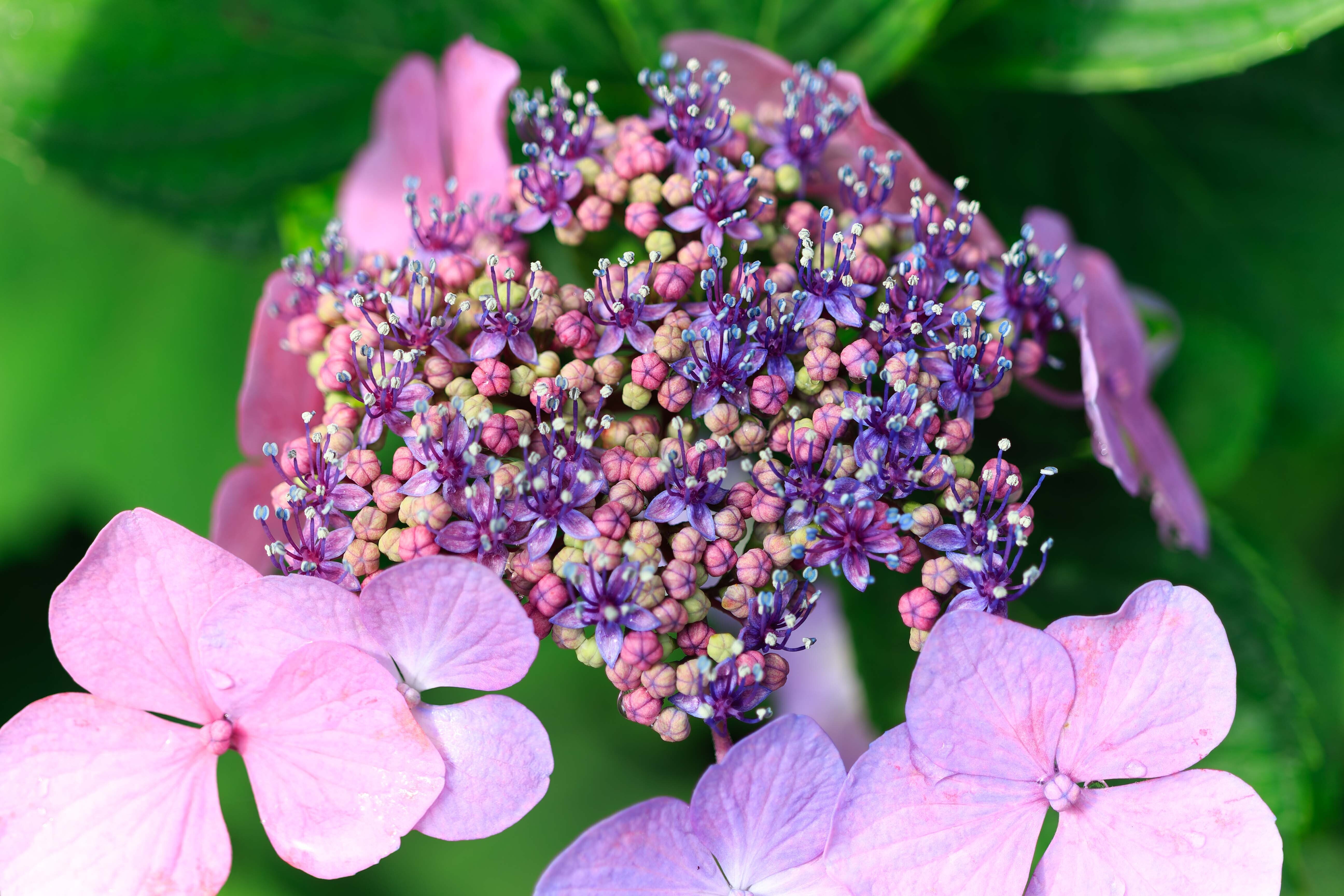 コスパ最強Canon EOS Kiss X7｜tackphoto