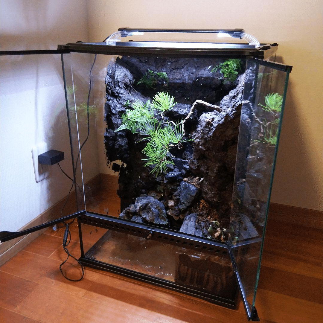 BIGなアクアテラリウムを創るという冒険｜苔之介