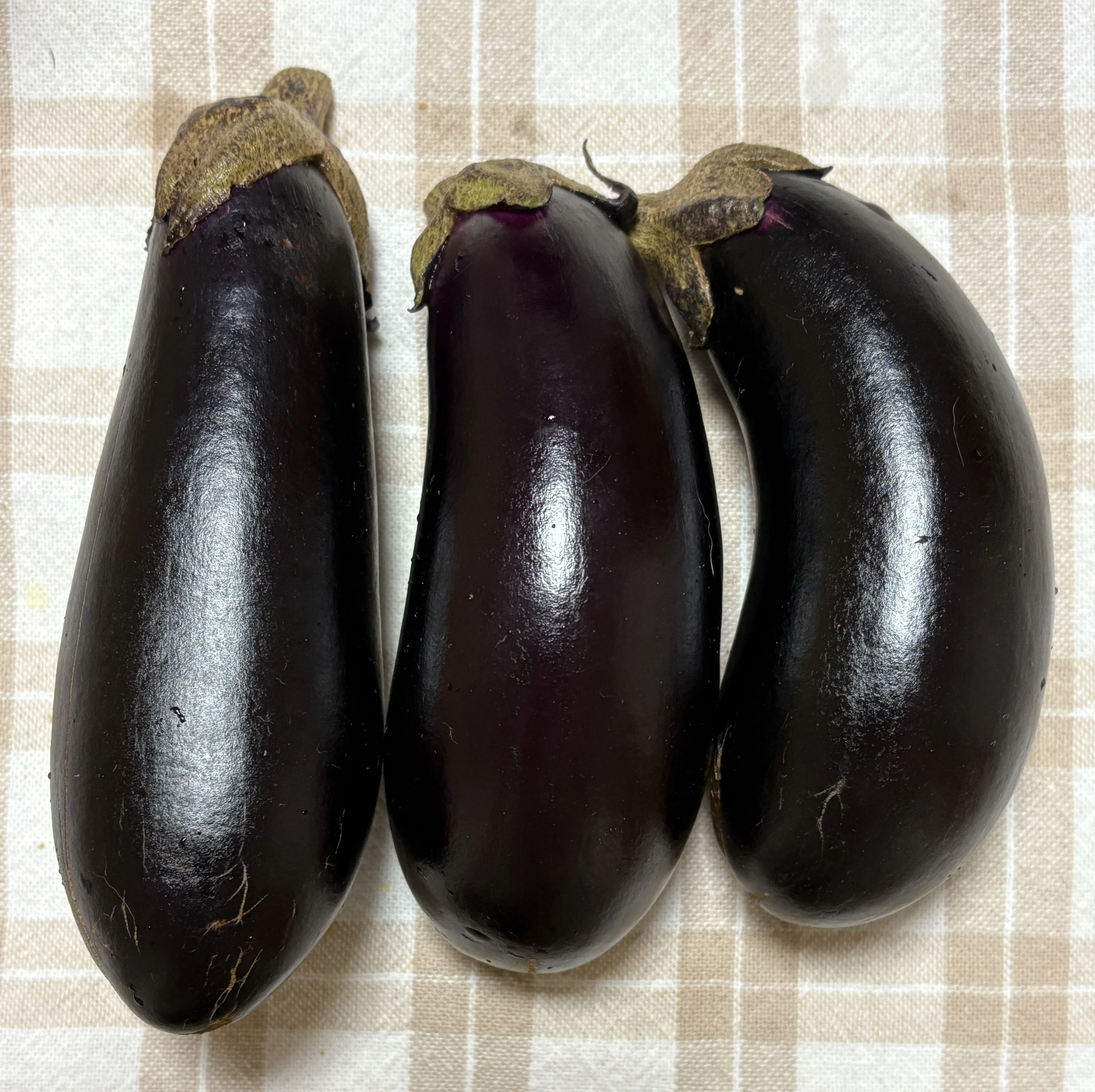 秋茄子は嫁に食わすな｜マネキネコ