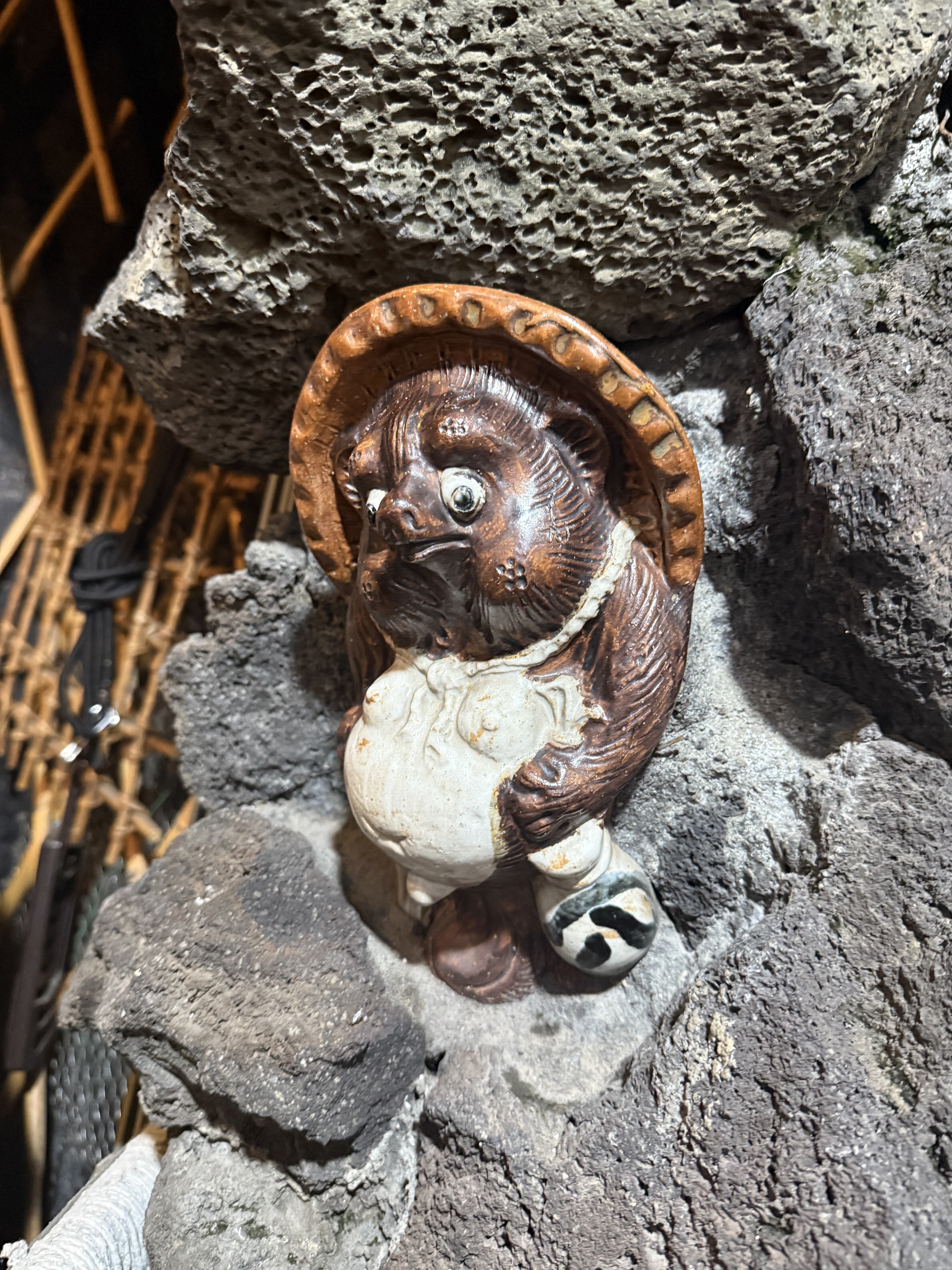 秘蔵 狸コレクション Vol.3&4｜Masafumi Gotoh