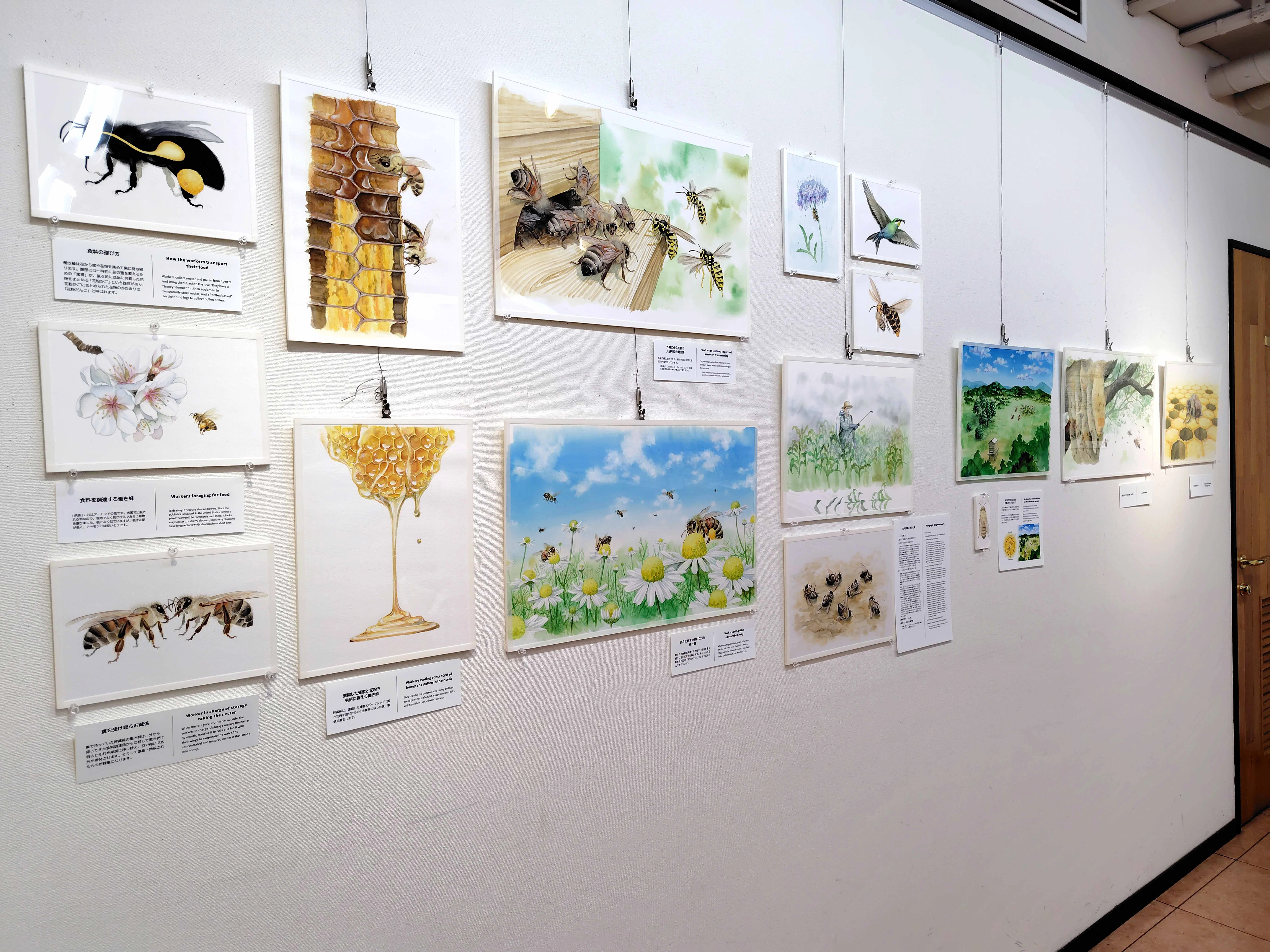 個展トーーク② 額縁どうするか問題｜イラストレーター みしまゆかり