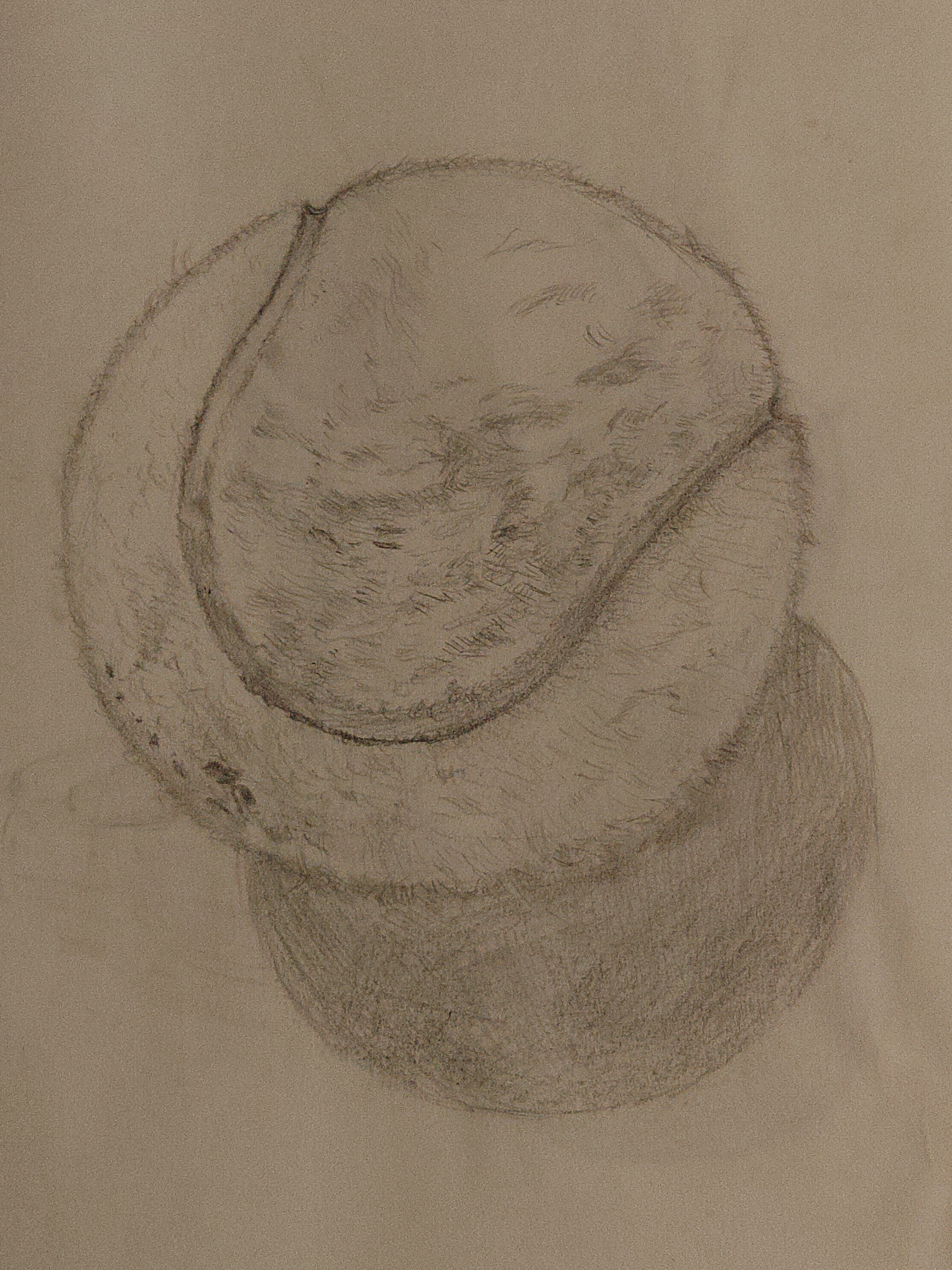 デッサン｜青いみかん