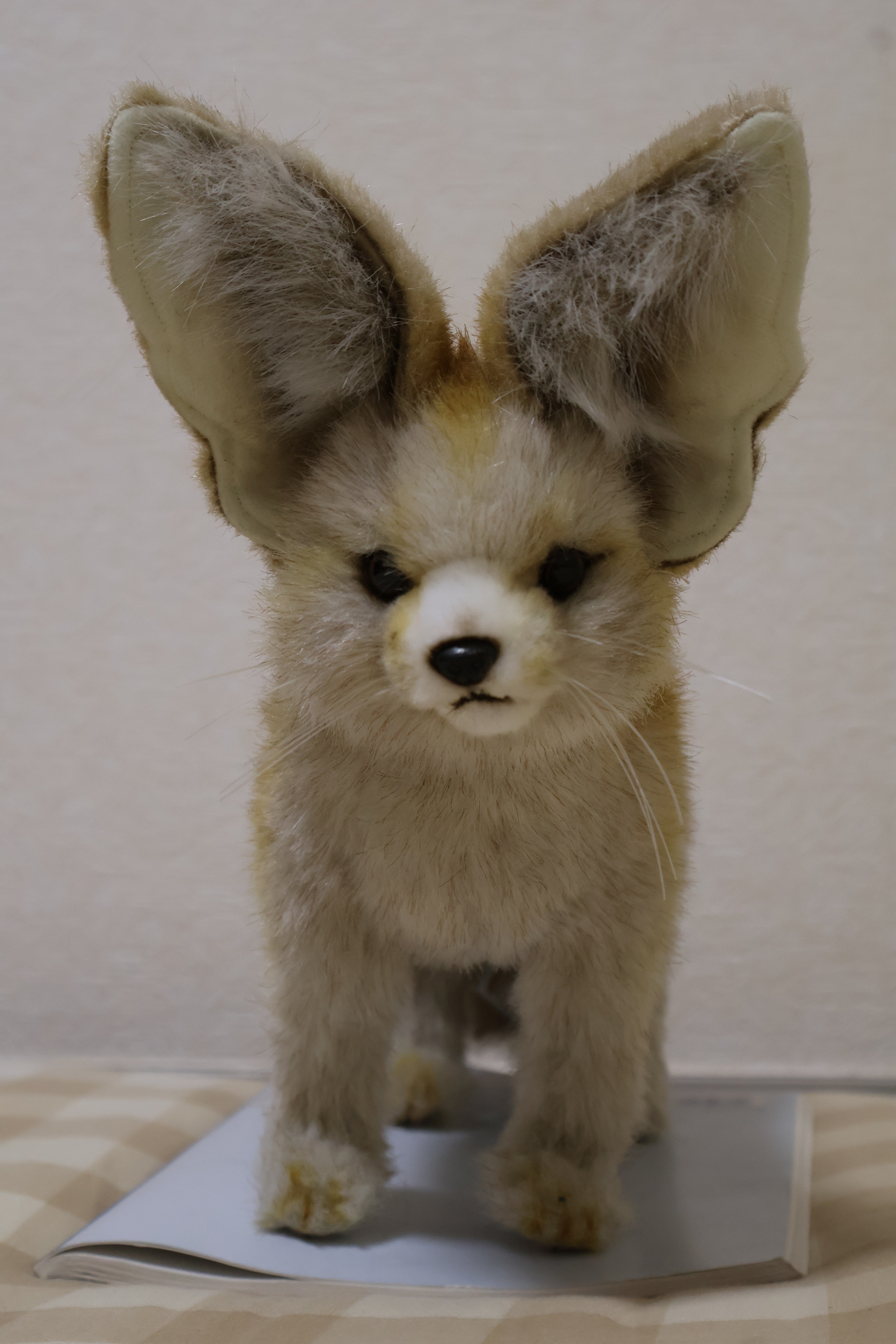 フェネックのぬいぐるみ全部買った｜hidesugar