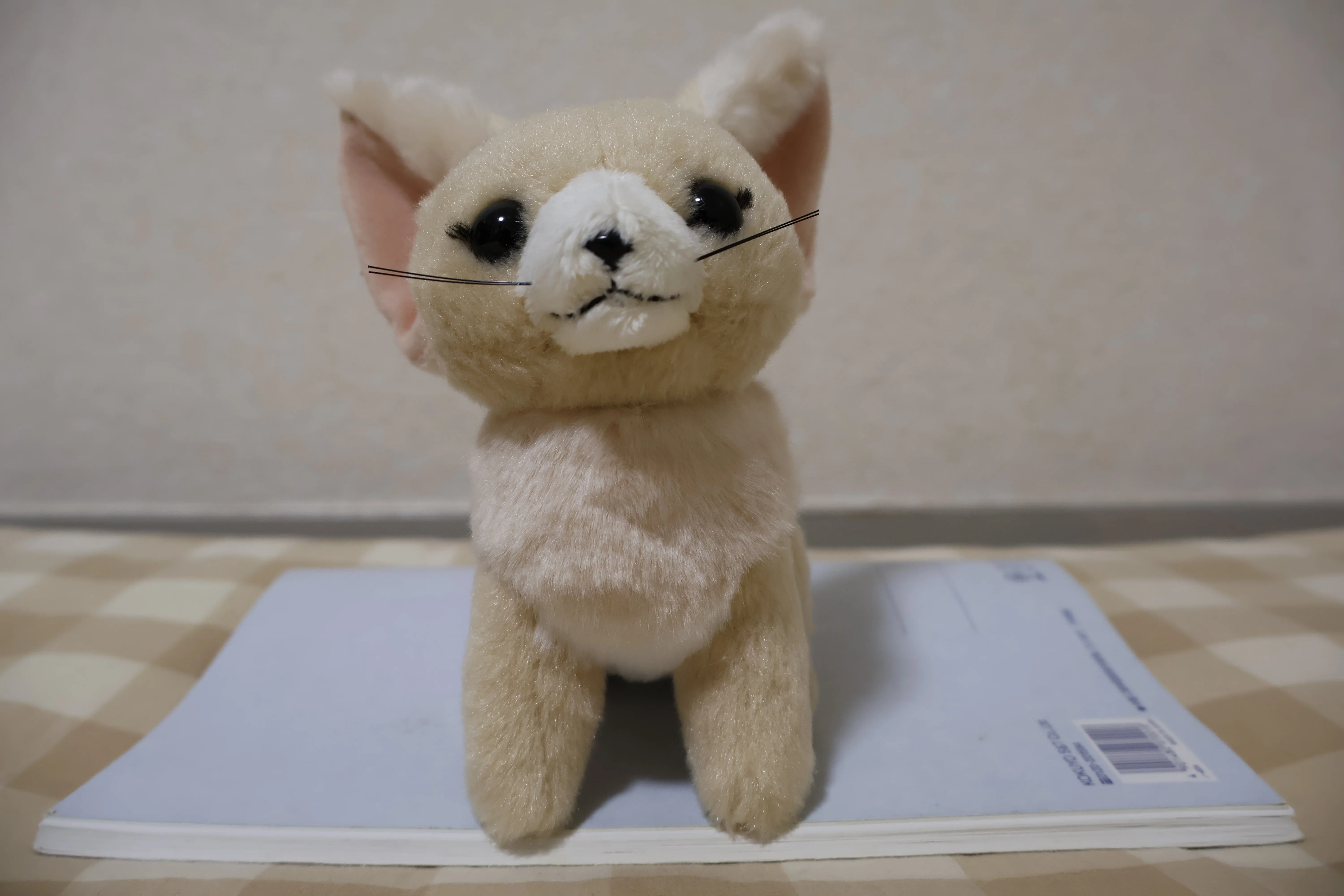 フェネックのぬいぐるみ全部買った｜hidesugar