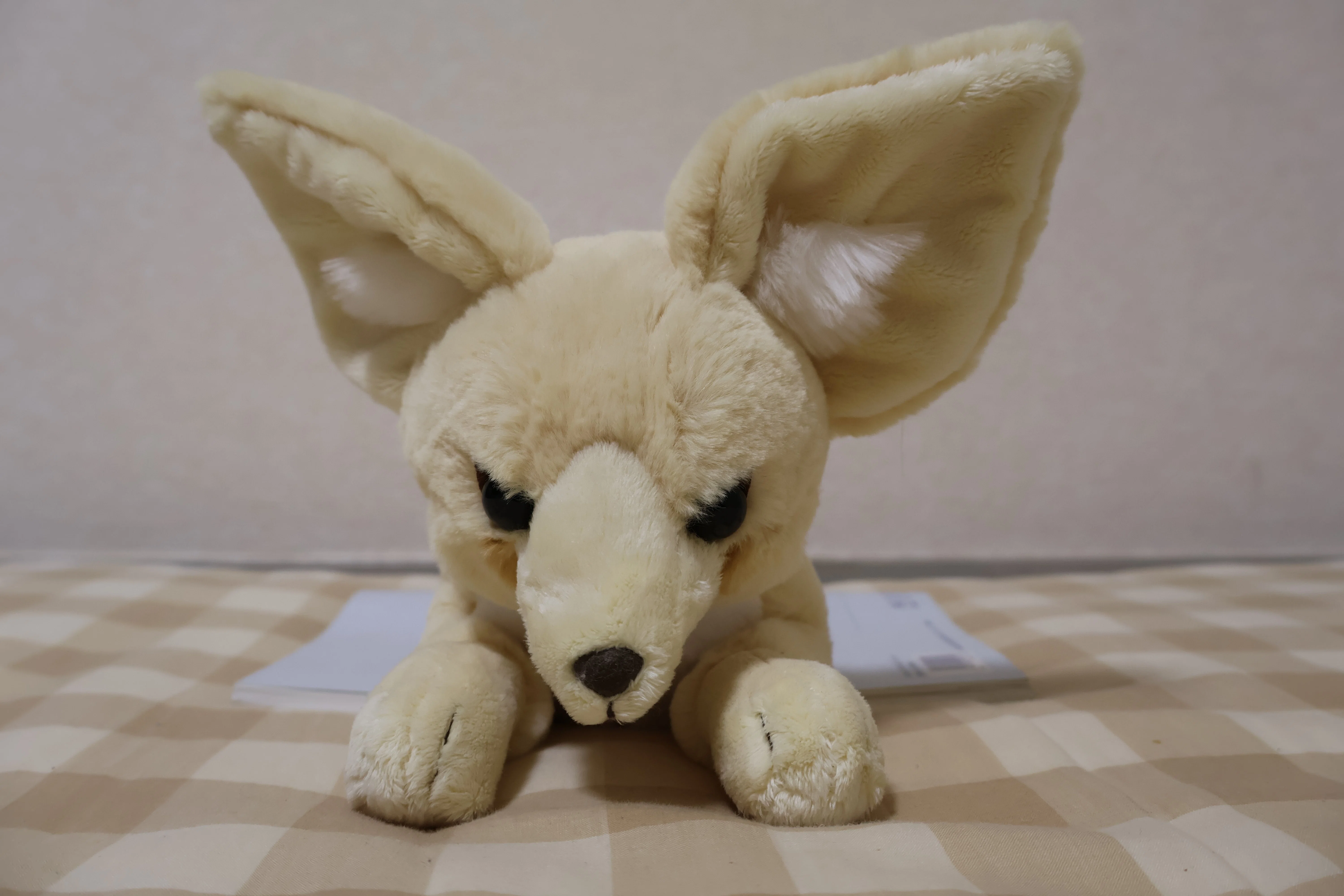 フェネックのぬいぐるみ全部買った｜hidesugar