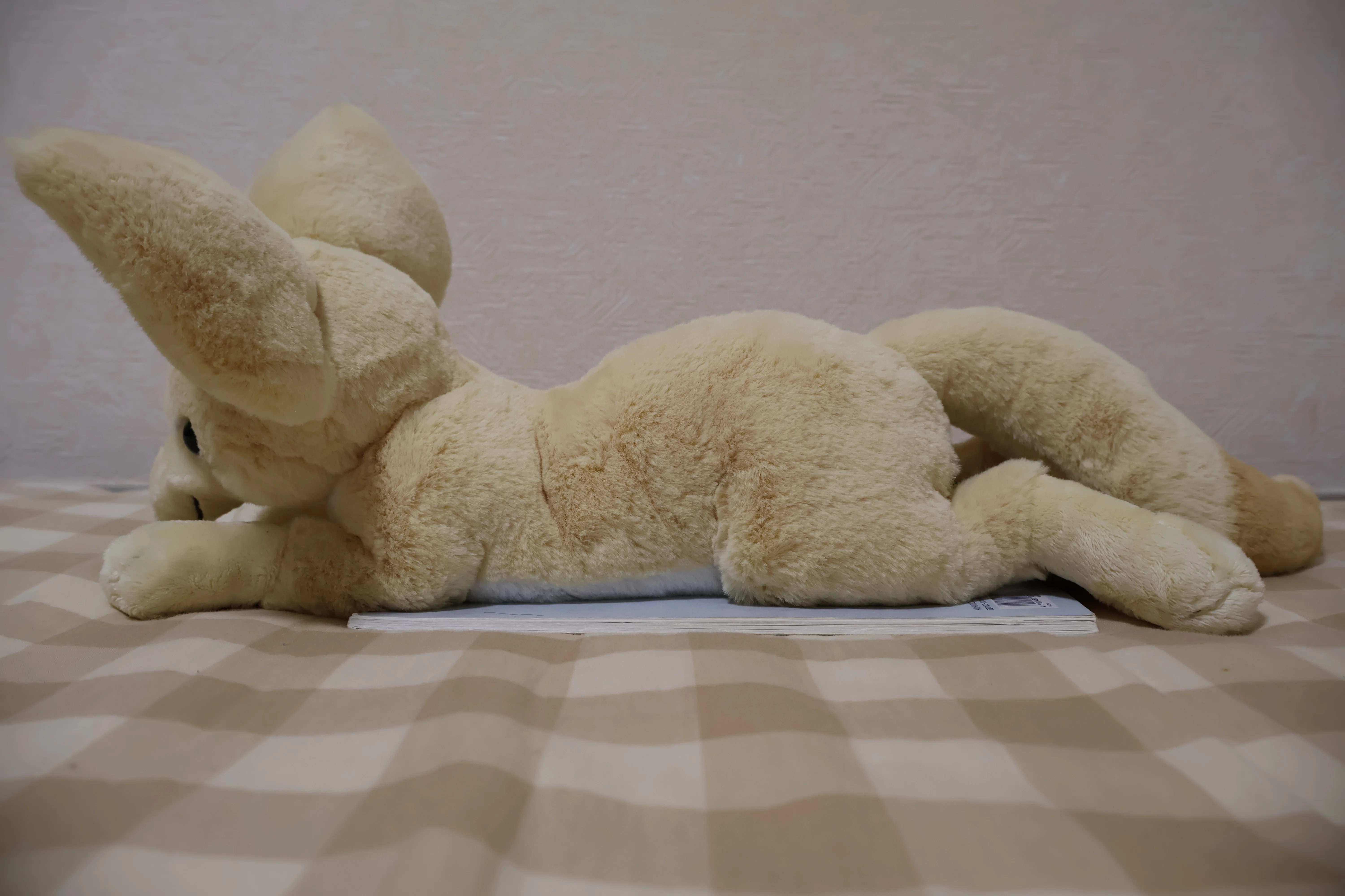 フェネックのぬいぐるみ全部買った｜hidesugar