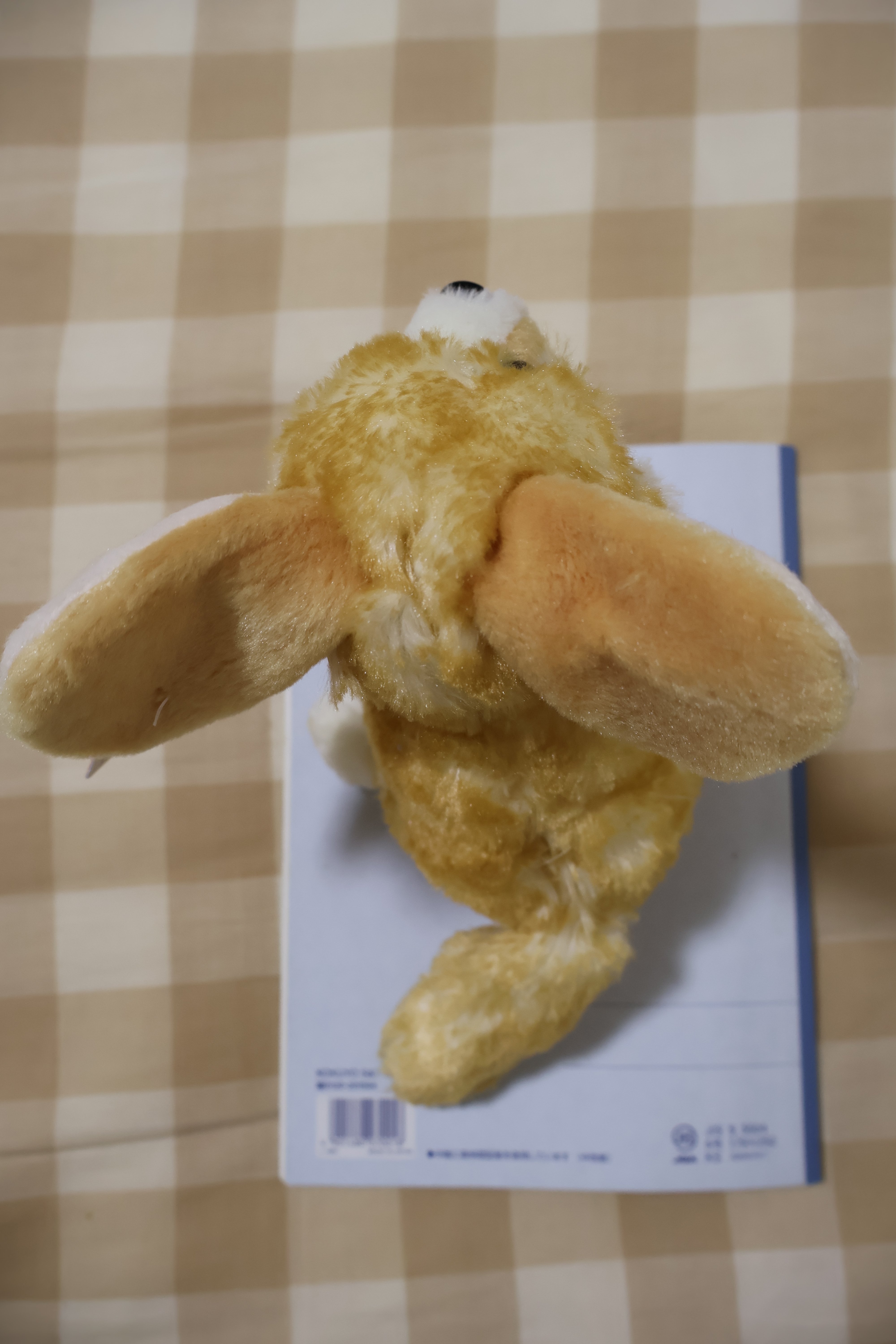 フェネックのぬいぐるみ全部買った｜hidesugar