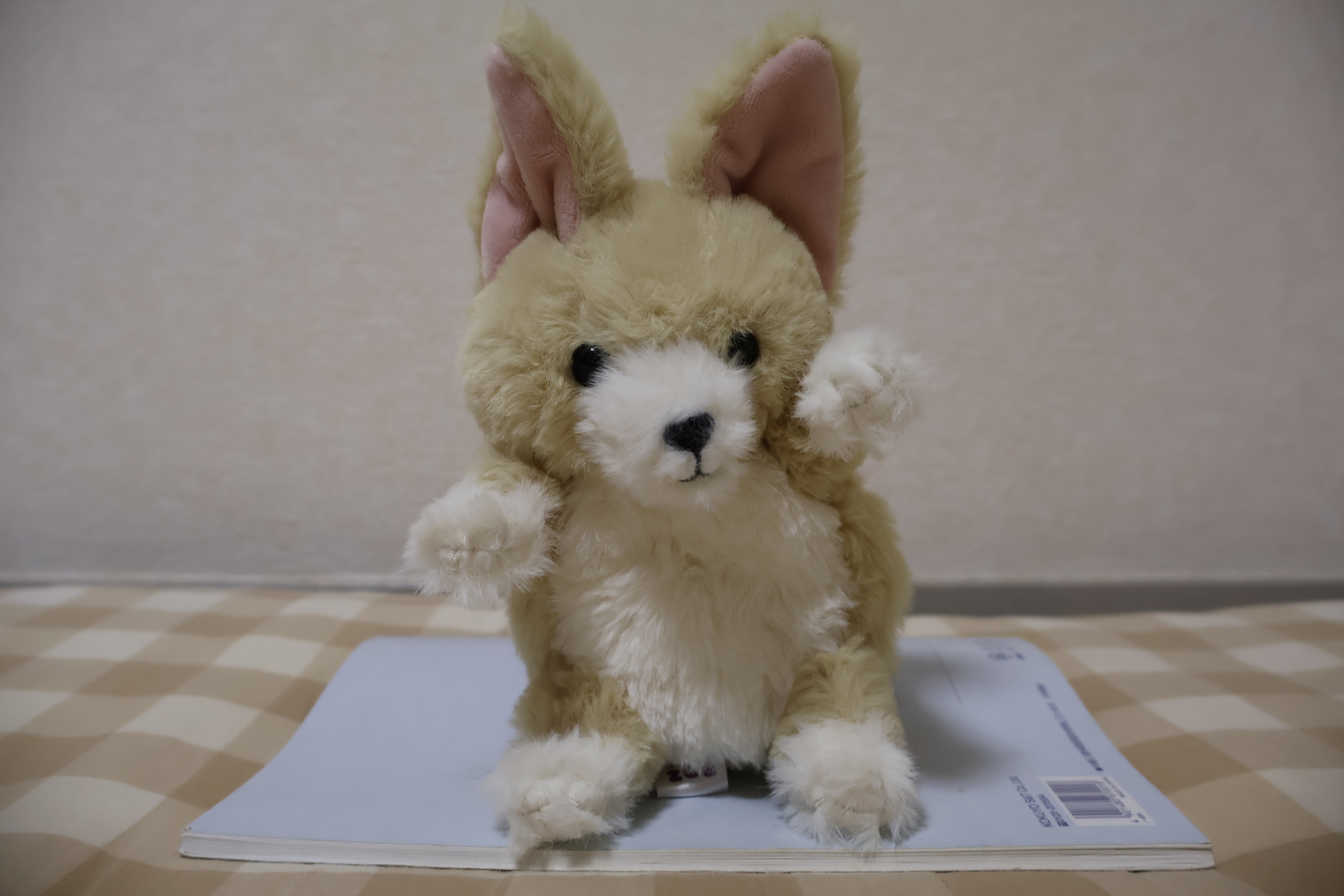 フェネックのぬいぐるみ全部買った｜hidesugar