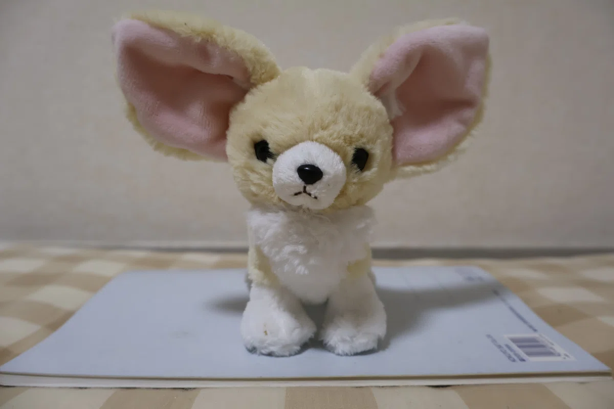 サンレモン ひざきつね フェネックのぬいぐるみ全部買った hidesugar