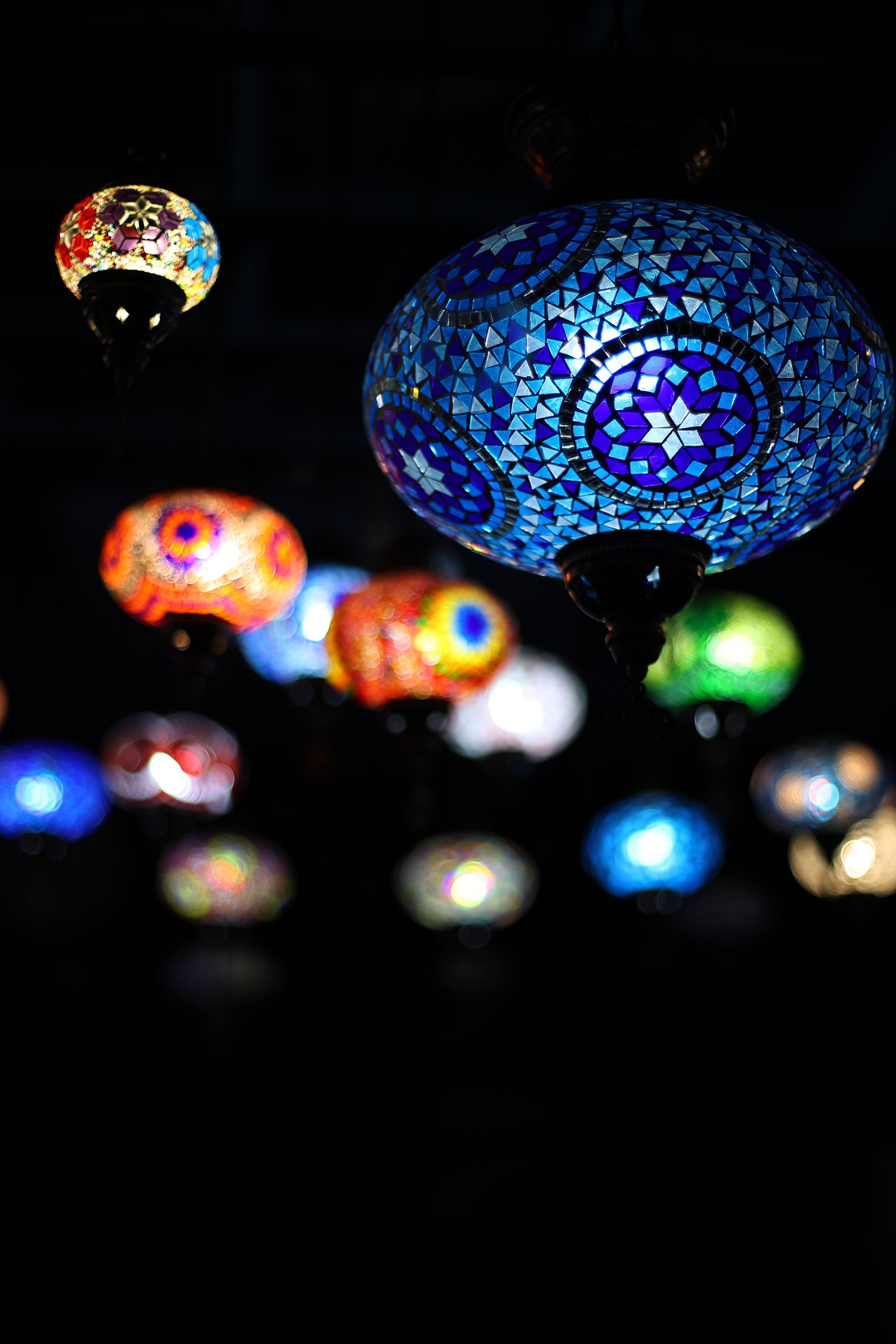 いい子ですよ～キャノンEF50㎜F1.4｜ジーバツ