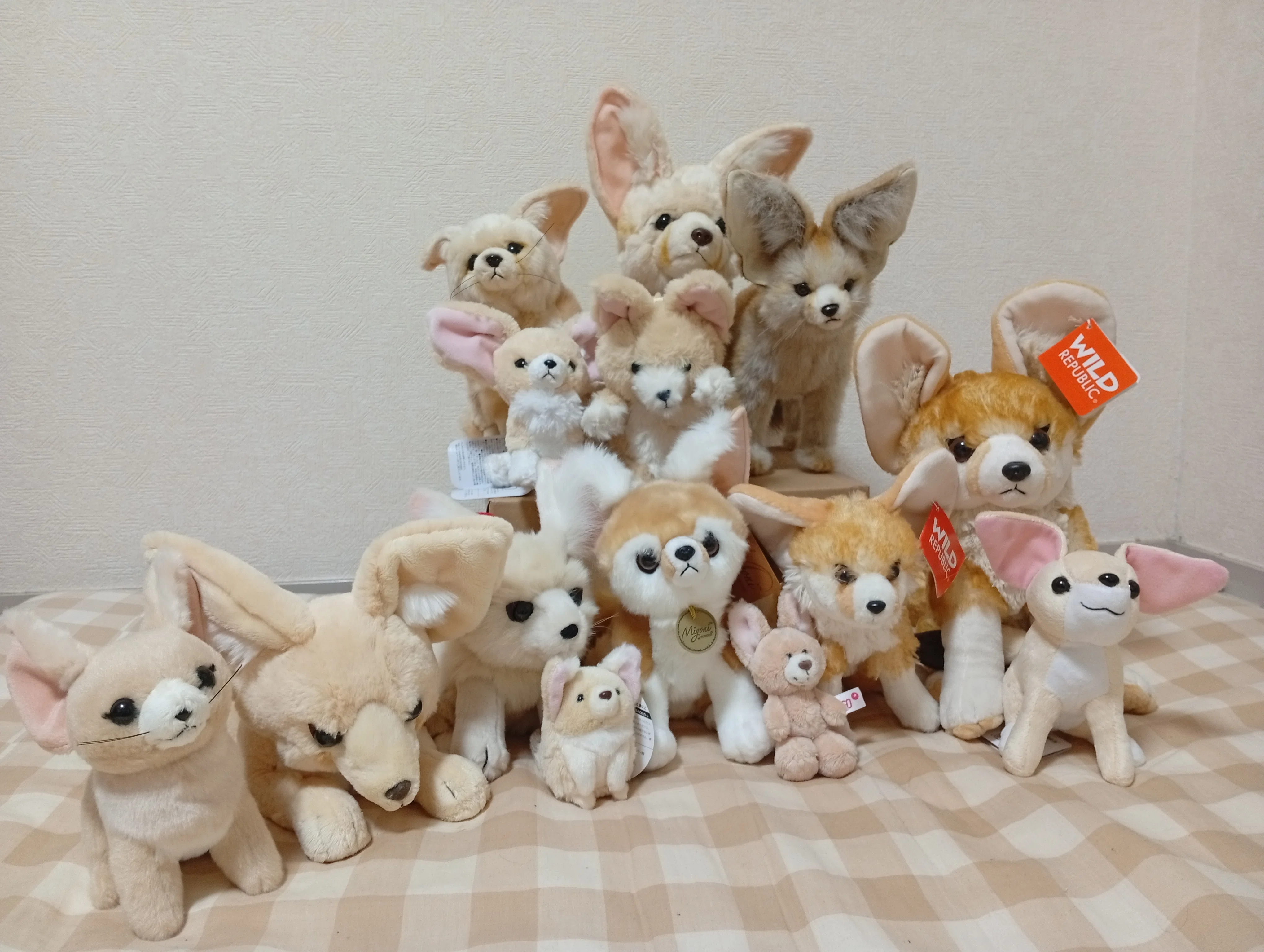 お名前付けてあげてね❤フェネックベビー♡生後２週間♡アートドール♡ぬいぐるみ♡ フェネックのぬいぐるみ全部買った｜hidesugar