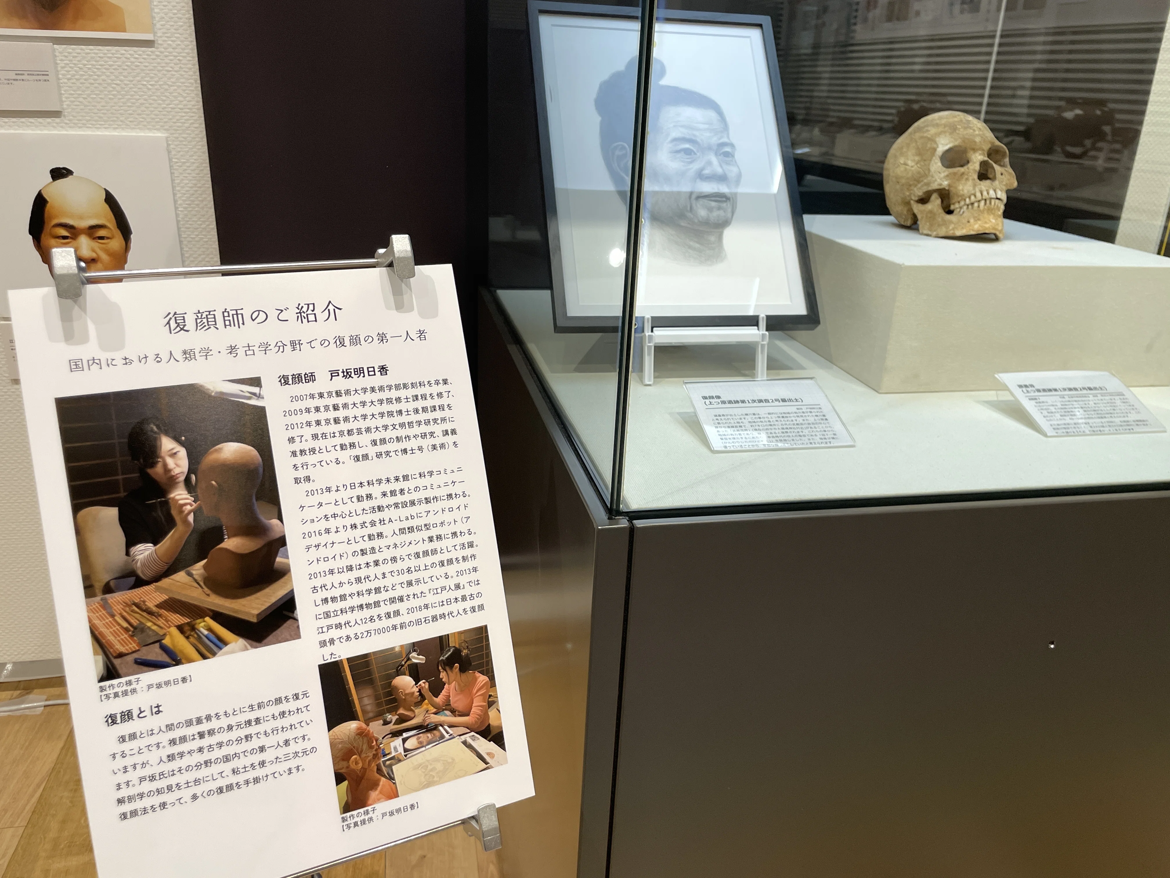 すごい博物館146】帝京大学総合博物館（TUM）：10学部の総合大学