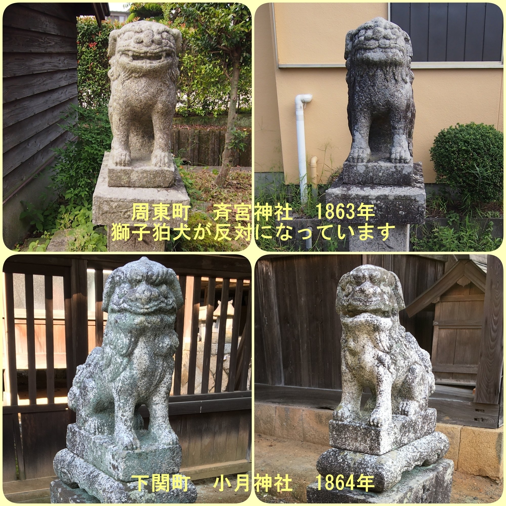 山口県周東町の狛犬｜藤井克浩