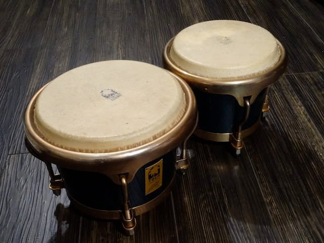 ☆Toca☆ Limited Edition Bongo☆｜auctionsdiary2017