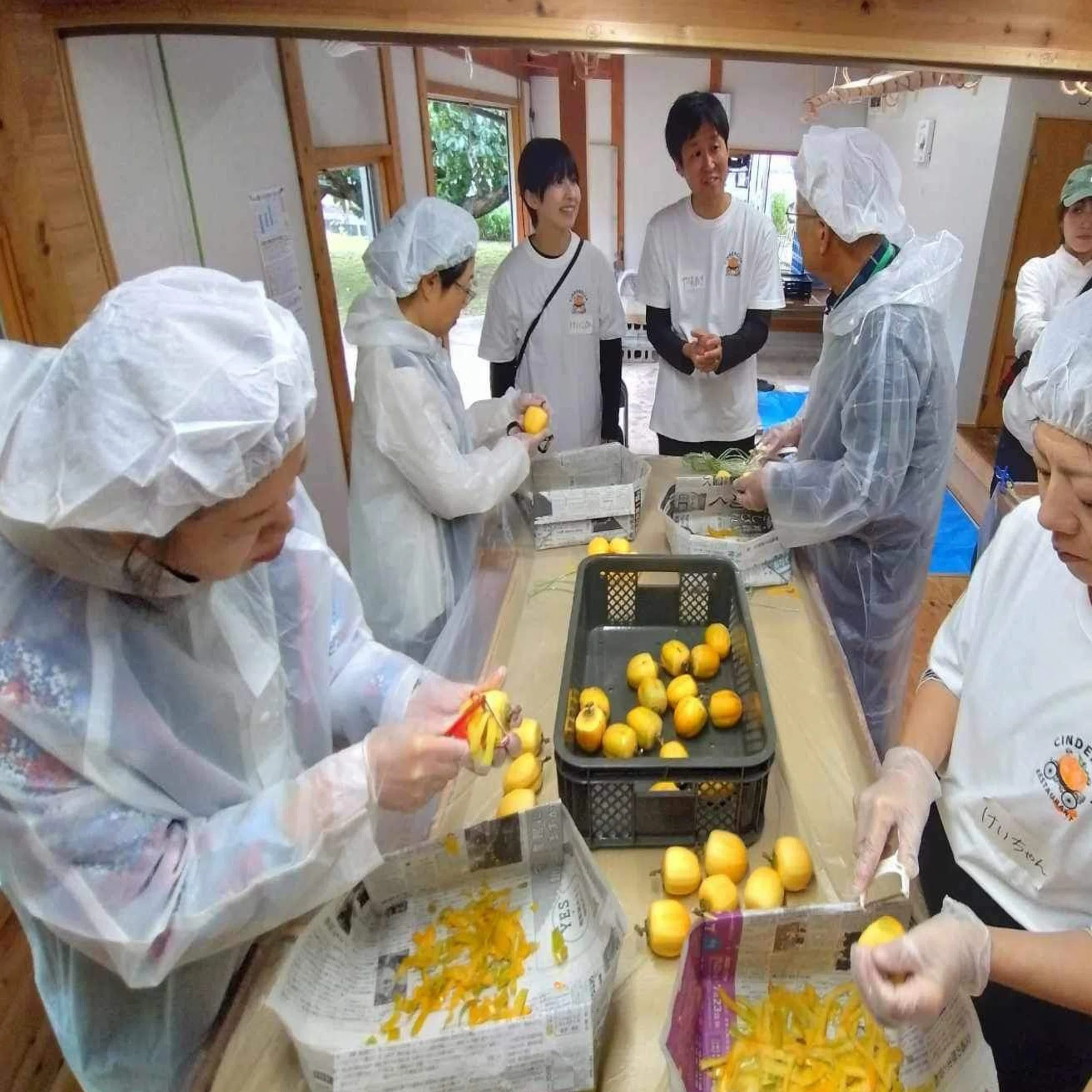 しまね女子ブログ】人と自然が作る奇跡！ほし柿の里｜しまね移住
