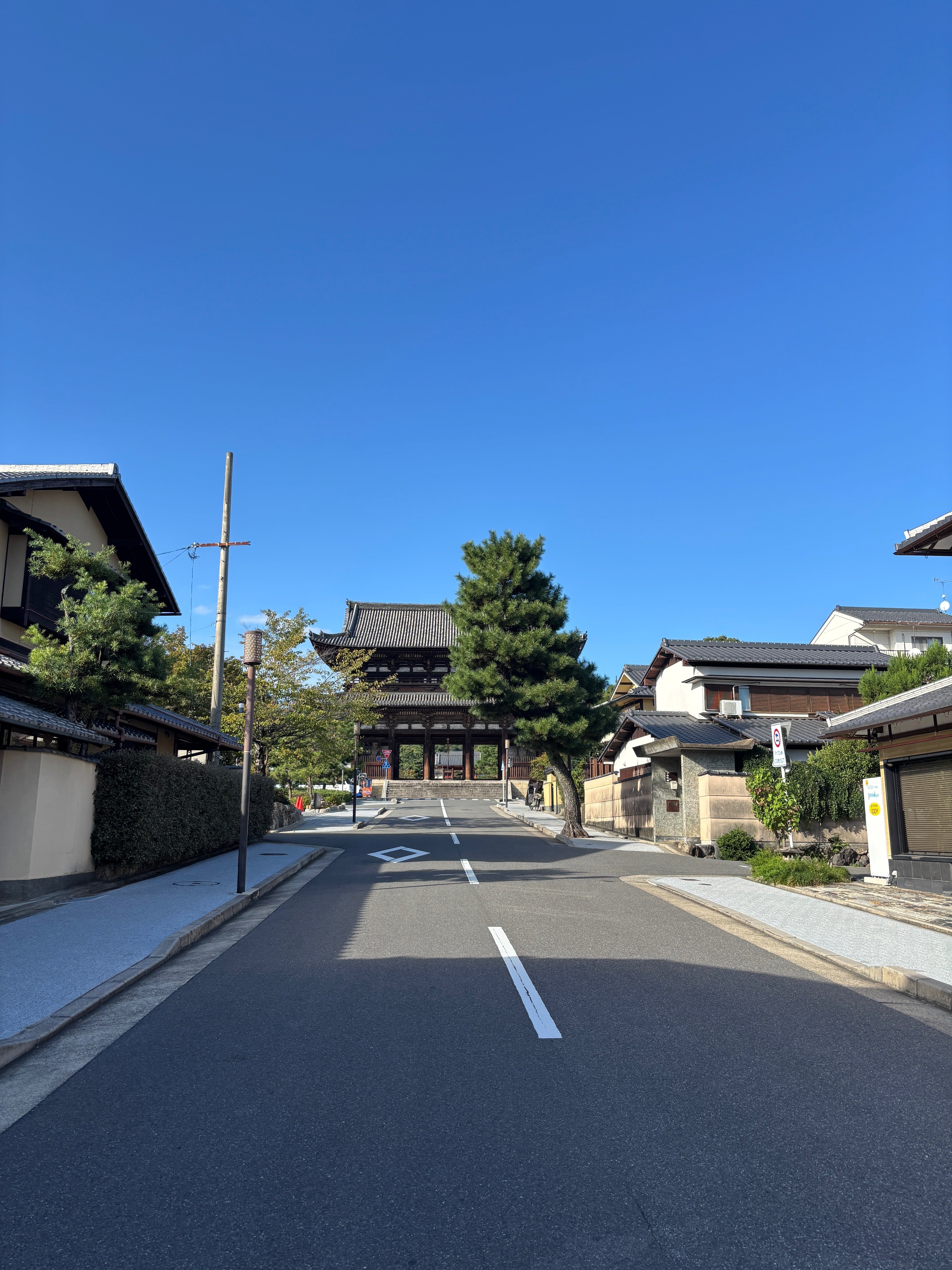 仁和寺に会う｜げいけんちゃん｜京都市立芸術大学 芸術学研究室