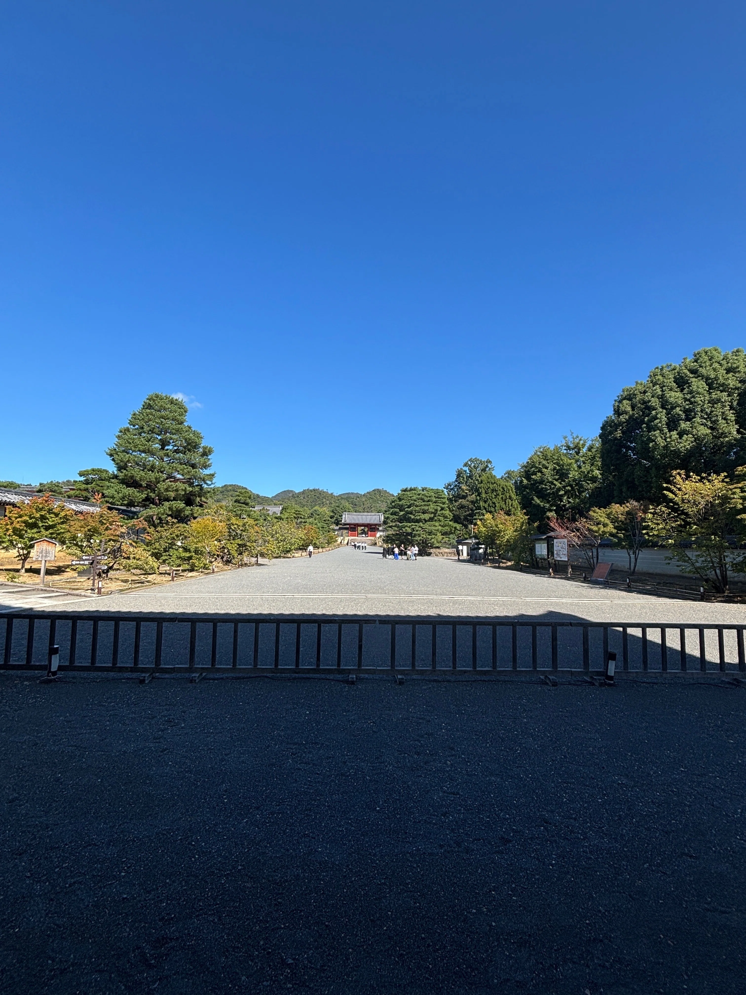 仁和寺に会う｜げいけんちゃん｜京都市立芸術大学 芸術学研究室