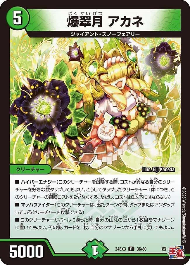 デュエパ】《鬼羅王女プリン》による青緑ジャイアント【デッキ紹介