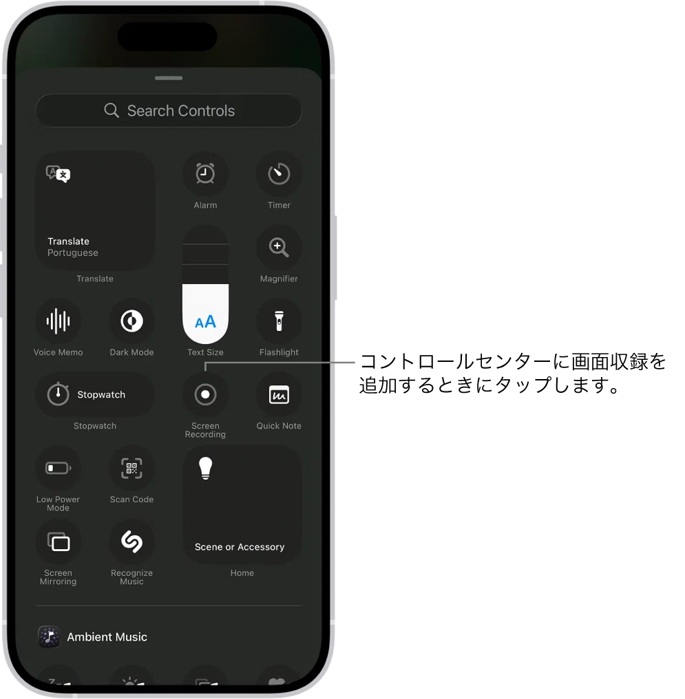 Easy for Beginners! How to Record Your Screen & Take Screenshot Videos ...