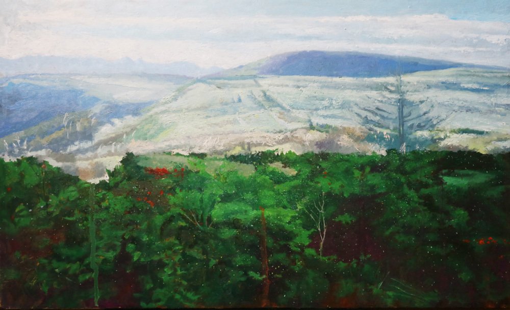 風景画の良さ｜ヒラ（絵描き）