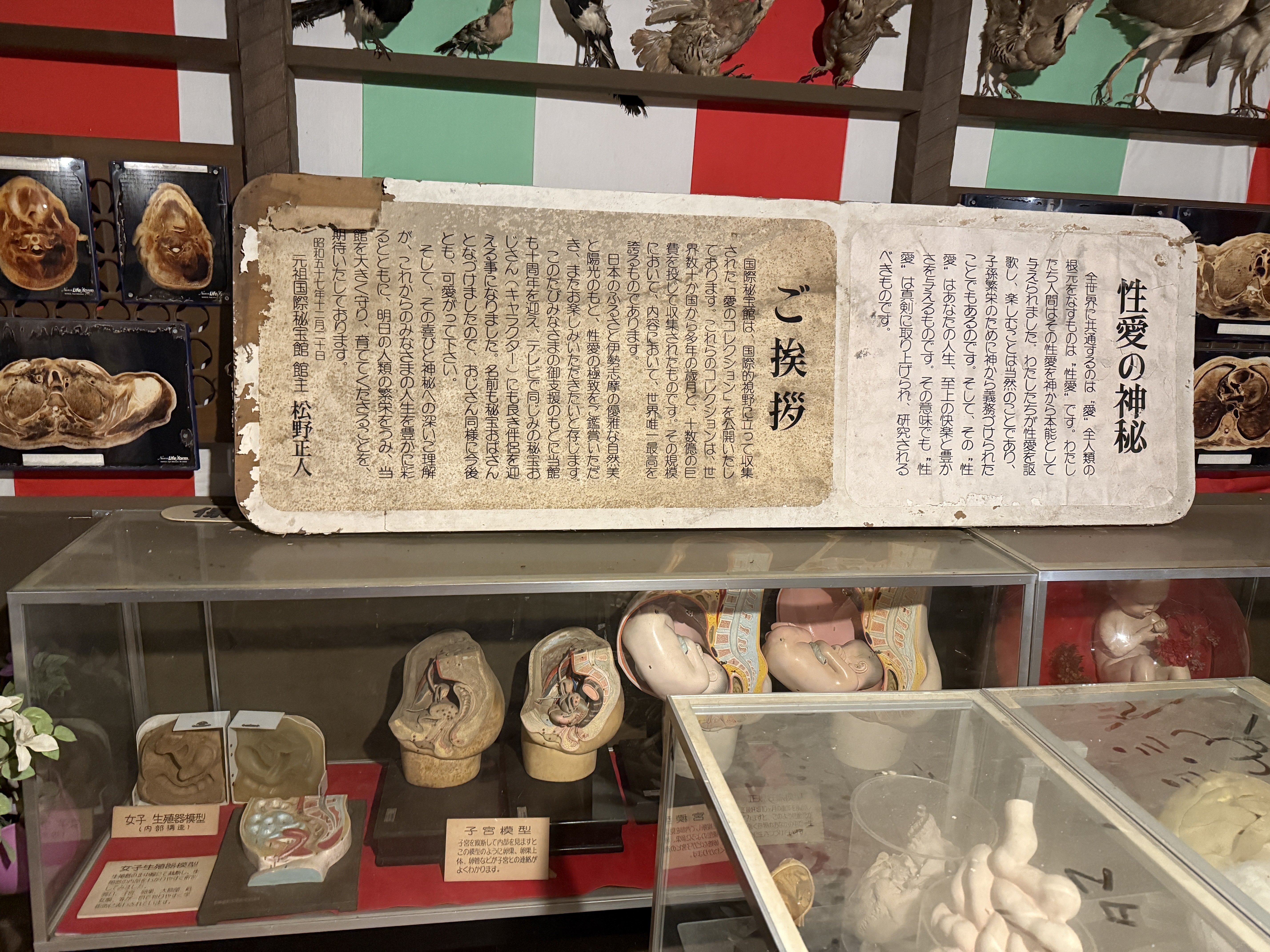 第二章：昭和のエロス ─ 国際秘宝館から、まぼろし博覧会へ｜Shazzan