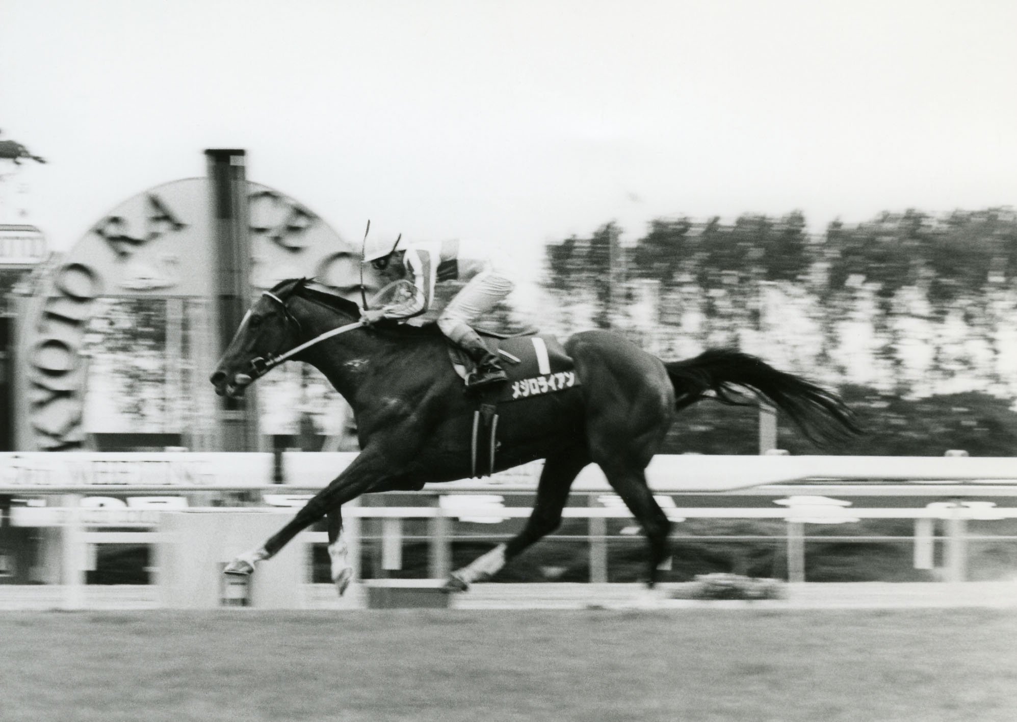 黄綬褒章御叙勲お祝い】今から30年前の横山典弘騎手インタビューを復刻