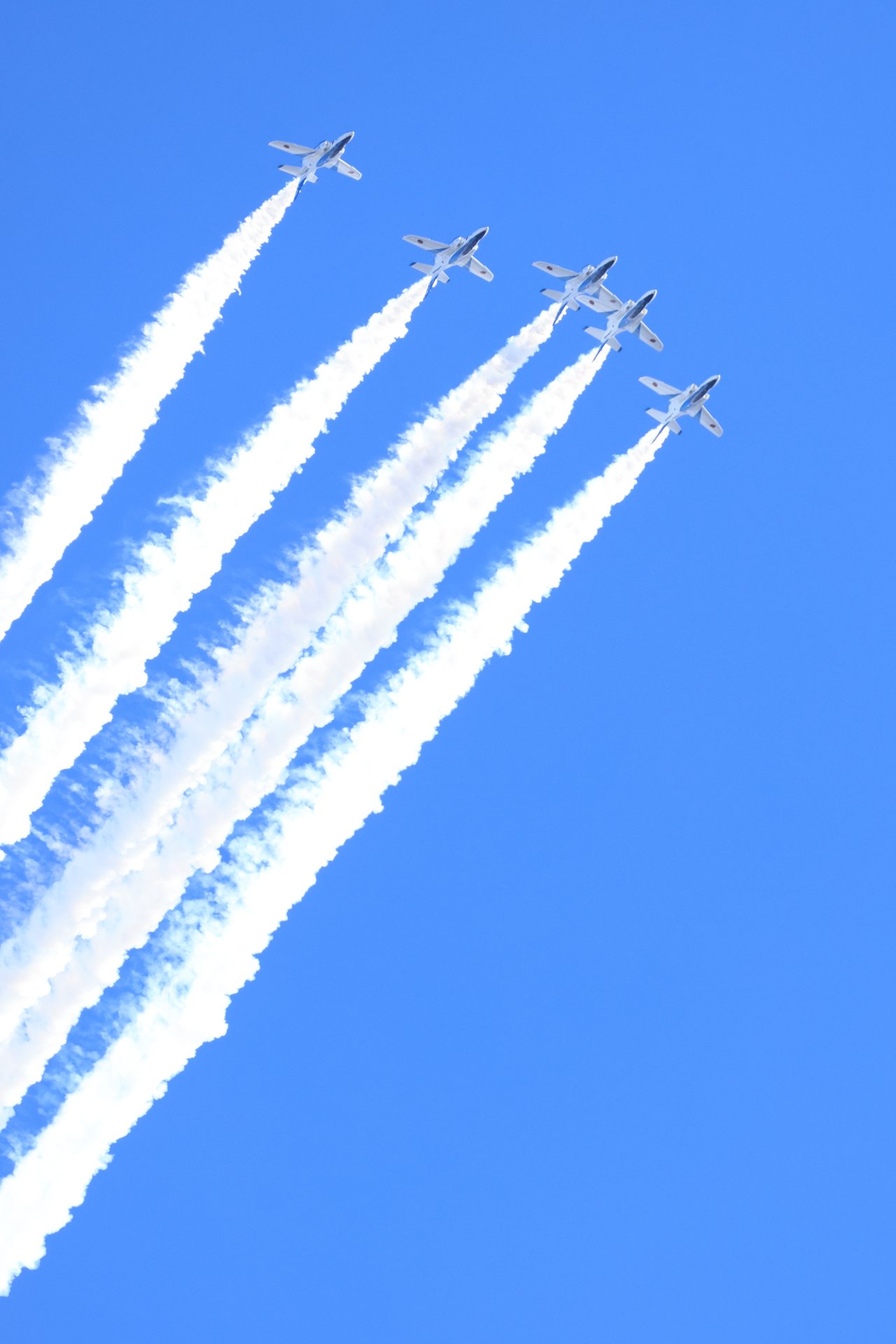 曲技に魅せられて｜いなずさ
