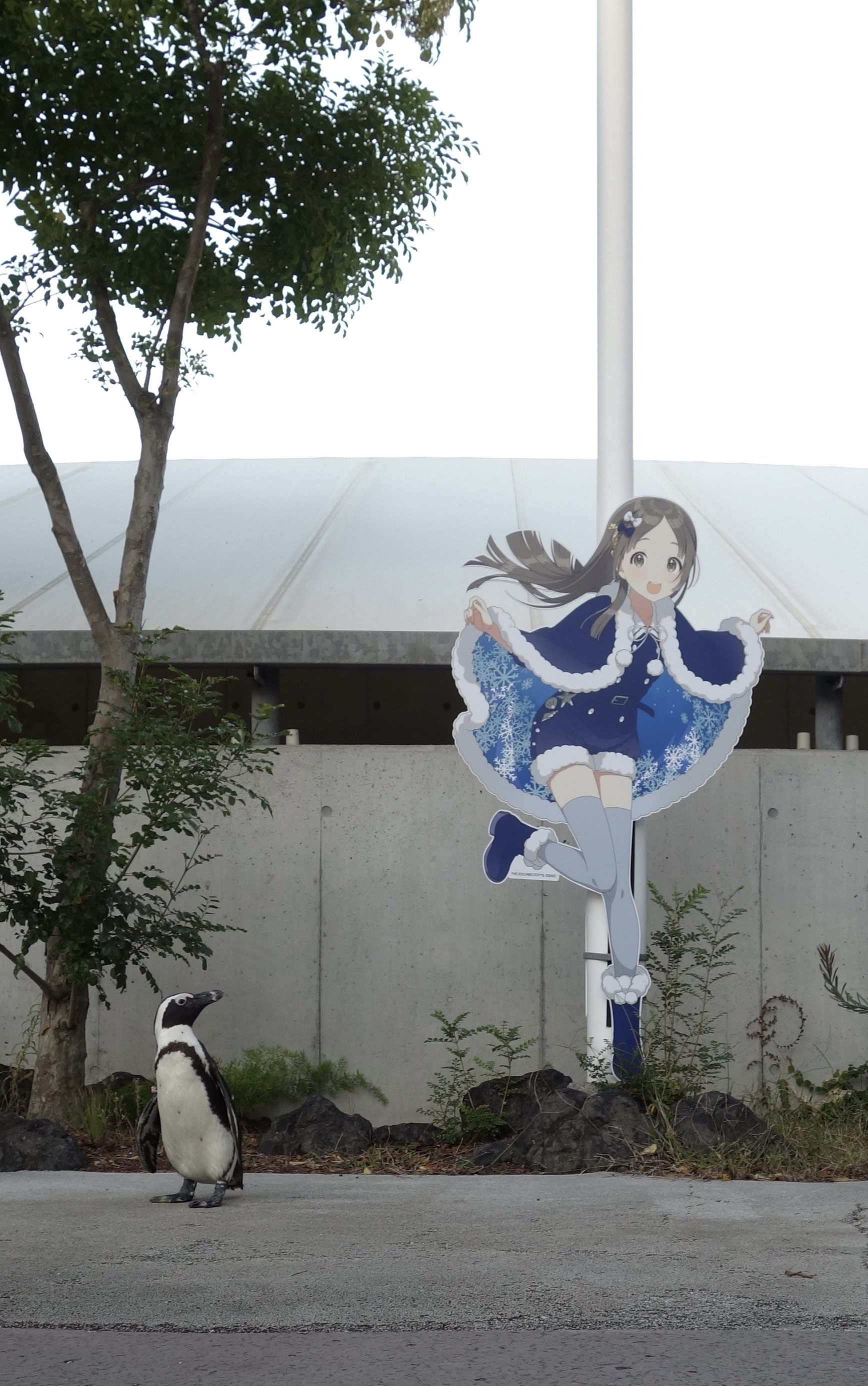 横浜・八景島シーパラダイス 学園アイドルマスターコラボに行ってきた