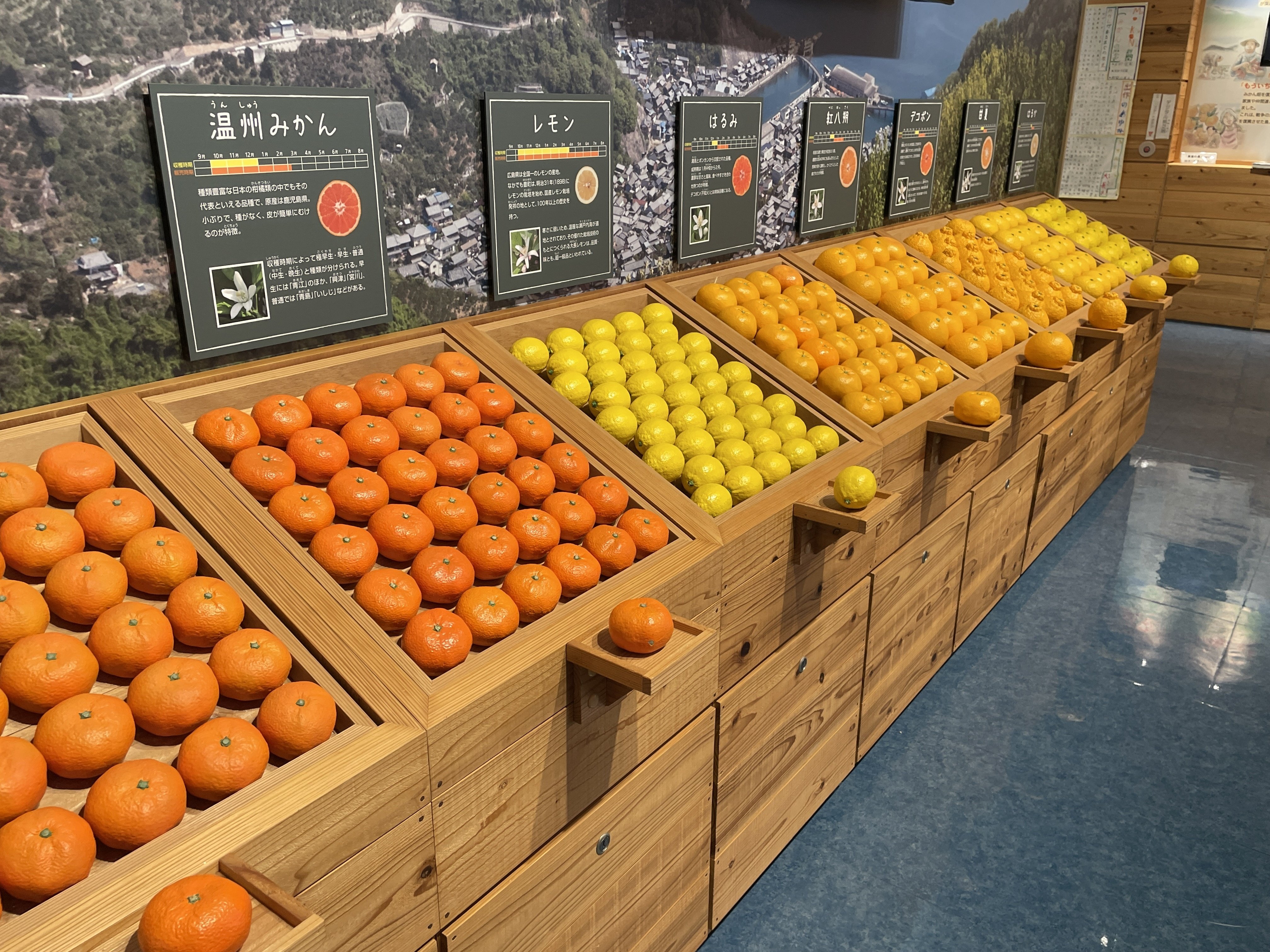 広島県大崎下島】みかんとレモンを求めて｜よしむらやすな / 食