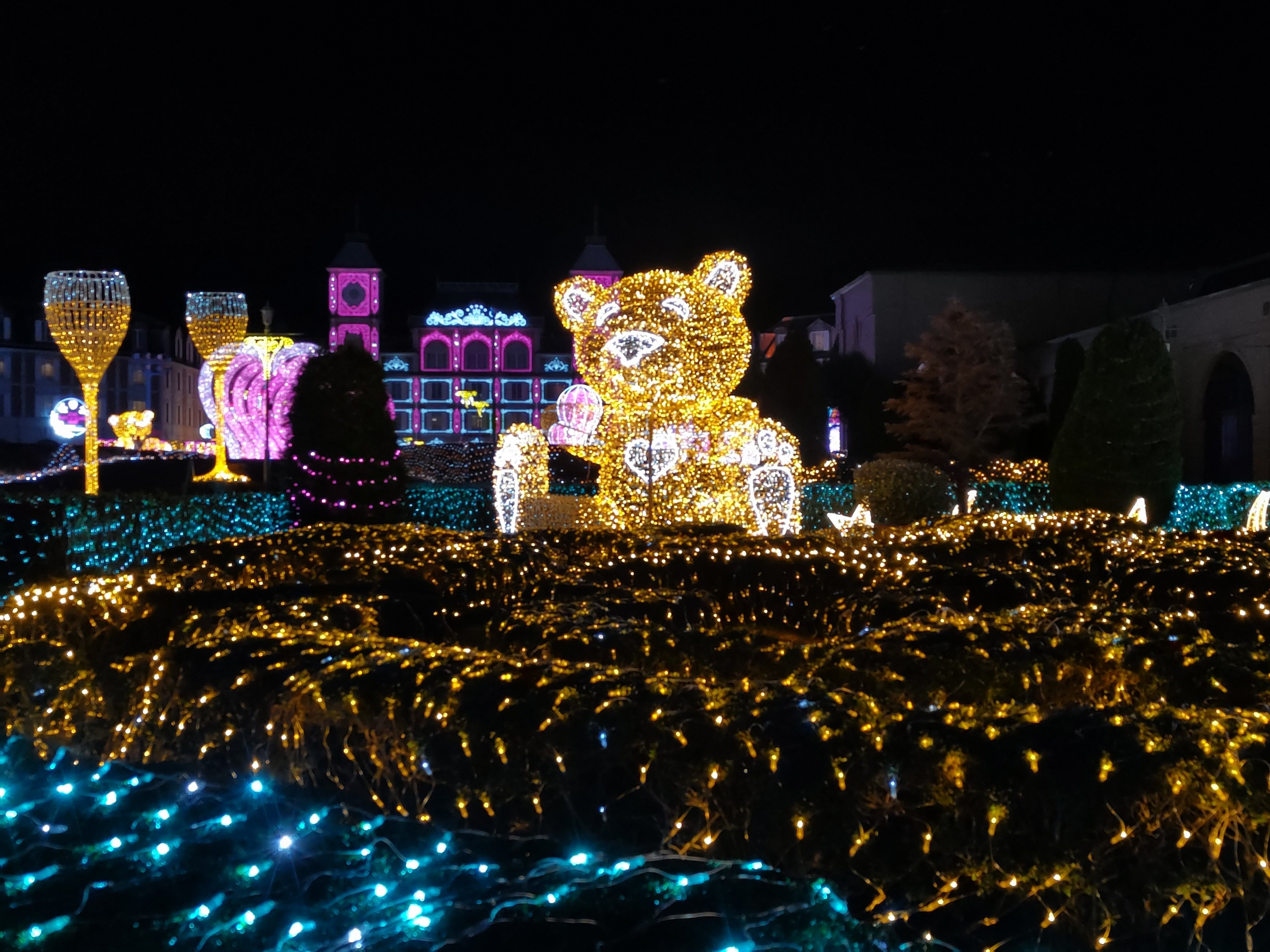 今年も行ってきました！神戸イルミナージュ｜いのよんさん