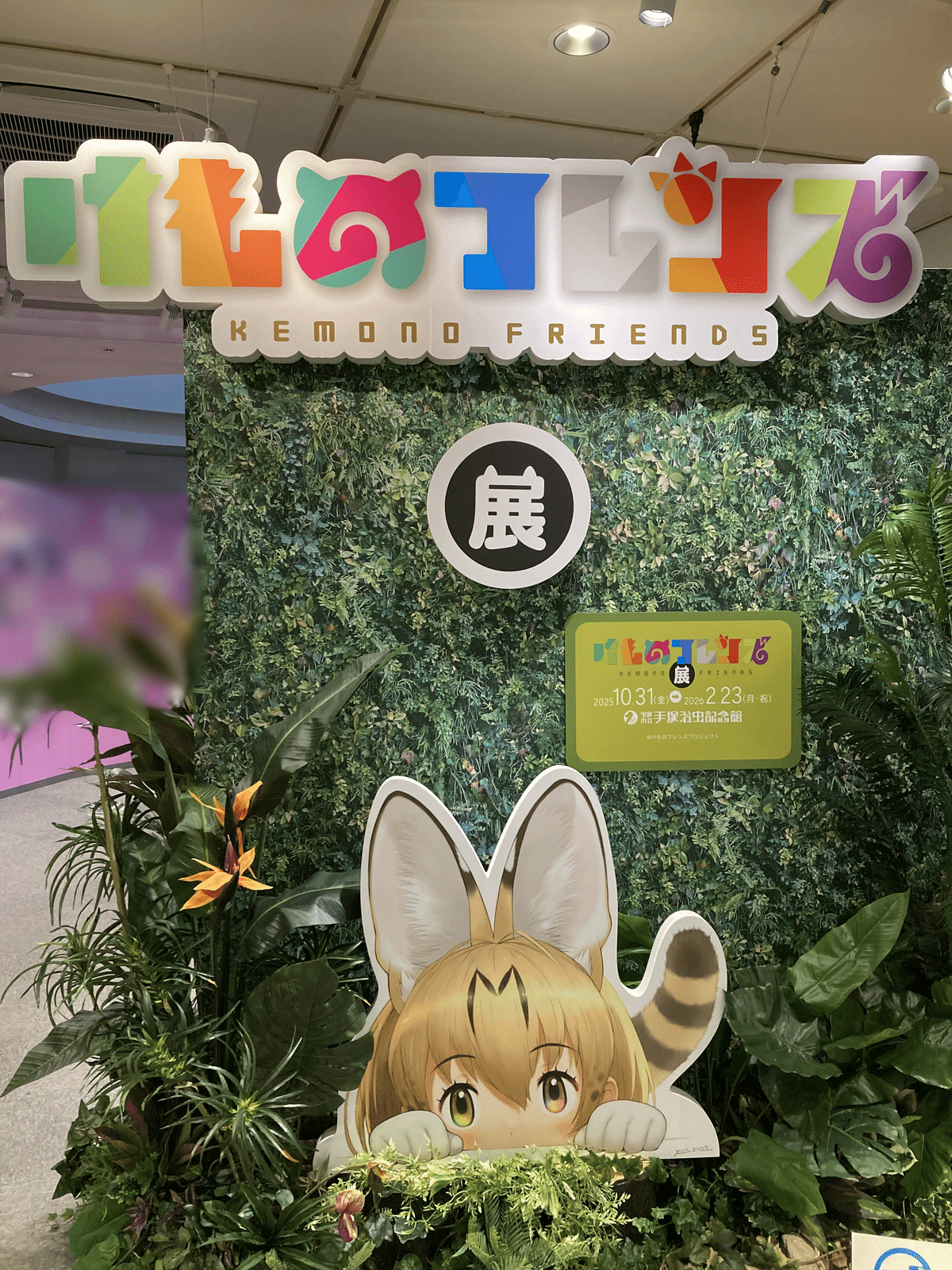 新品 けものフレンズ展 図録 手塚治虫記念館 ステッカー 限定 フライヤー けものフレンズ展 図録 手塚治虫記念館限定 オマケ付き｜Yahoo!フリマ