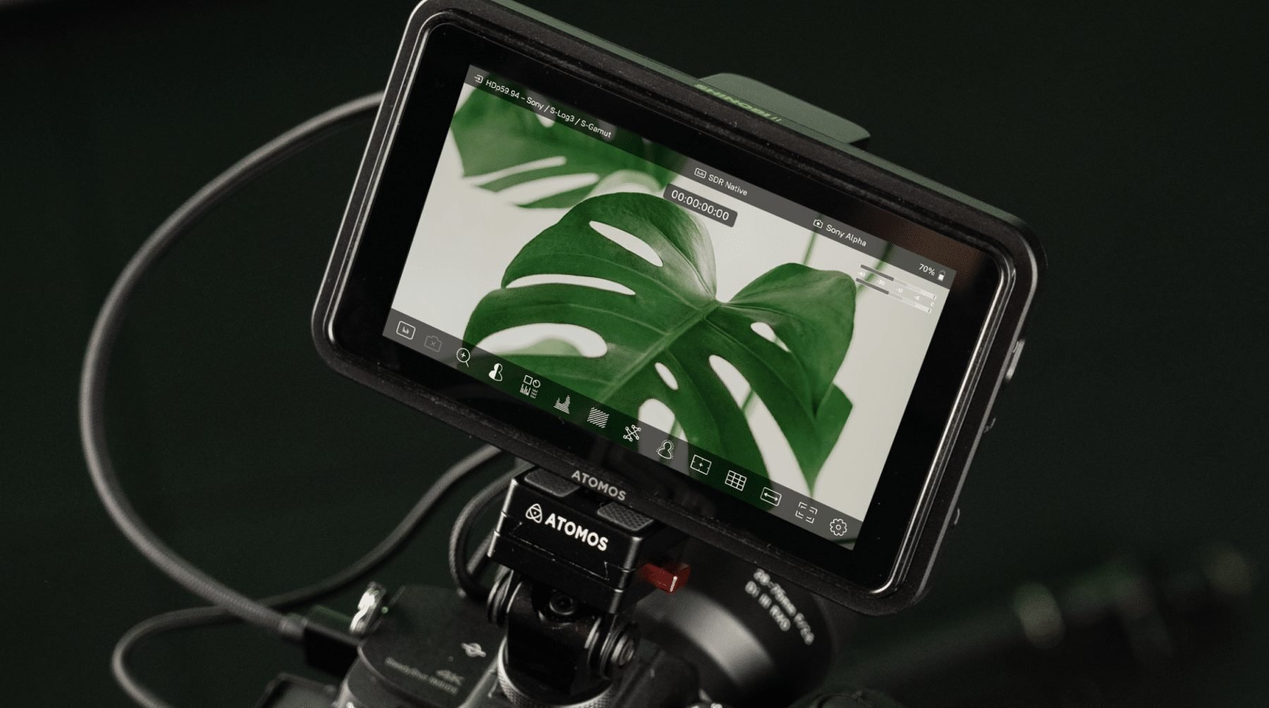 2025年最新版「カメラ外部モニター・ディスプレイ」プロがオススメ人気