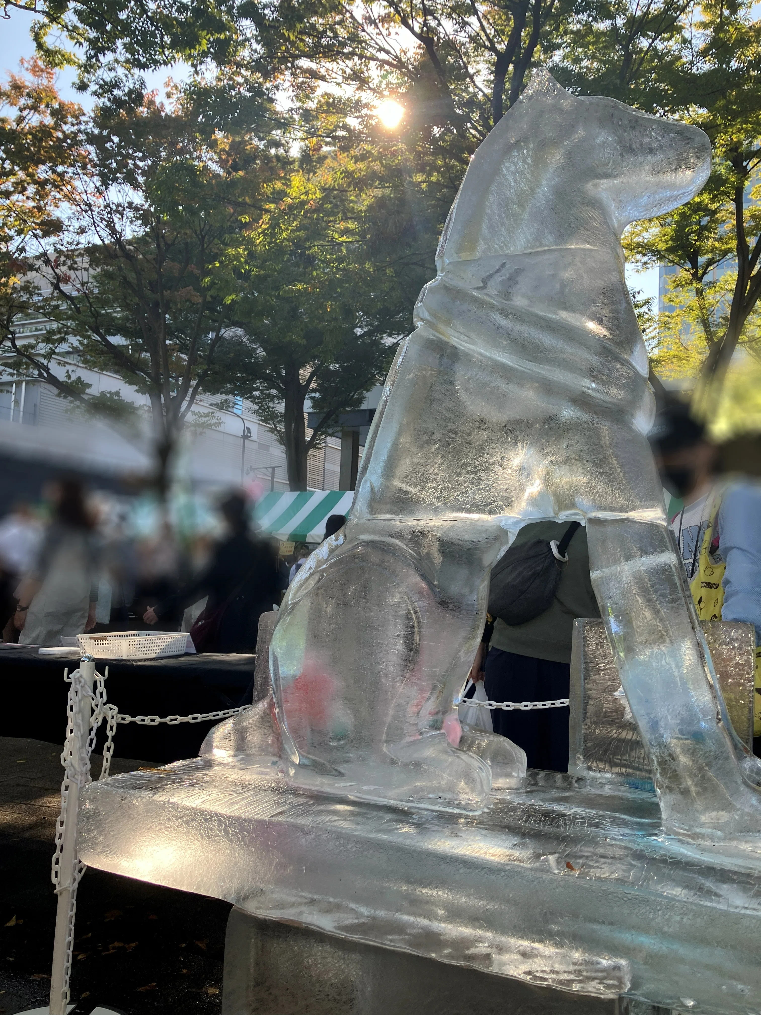 一番暑い夏に、一番美しい氷を！2025年夏季氷彫刻活動まとめ｜小野田の