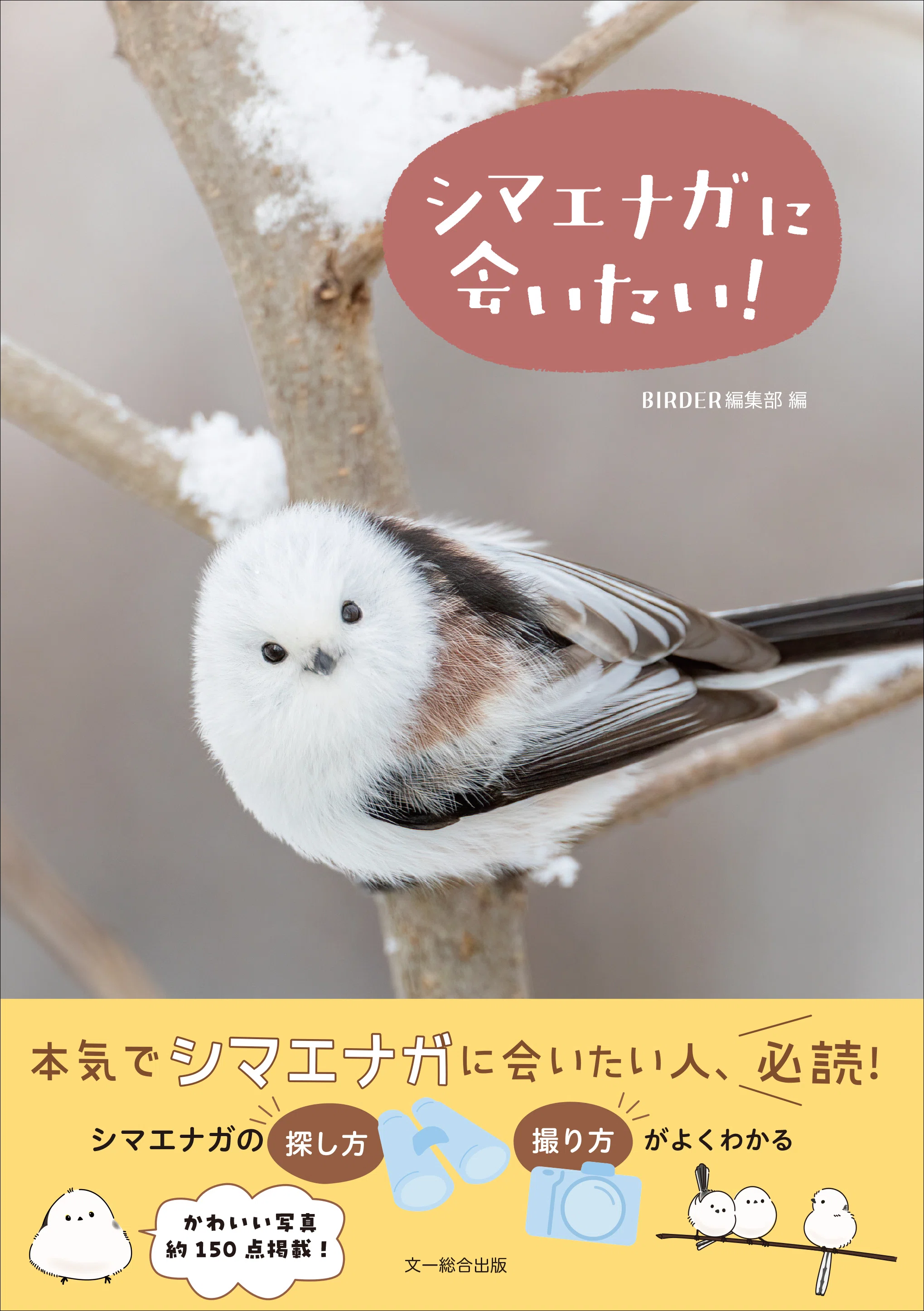 本物のシマエナガに会いに行こう！｜ブンイチ（文一総合出版）