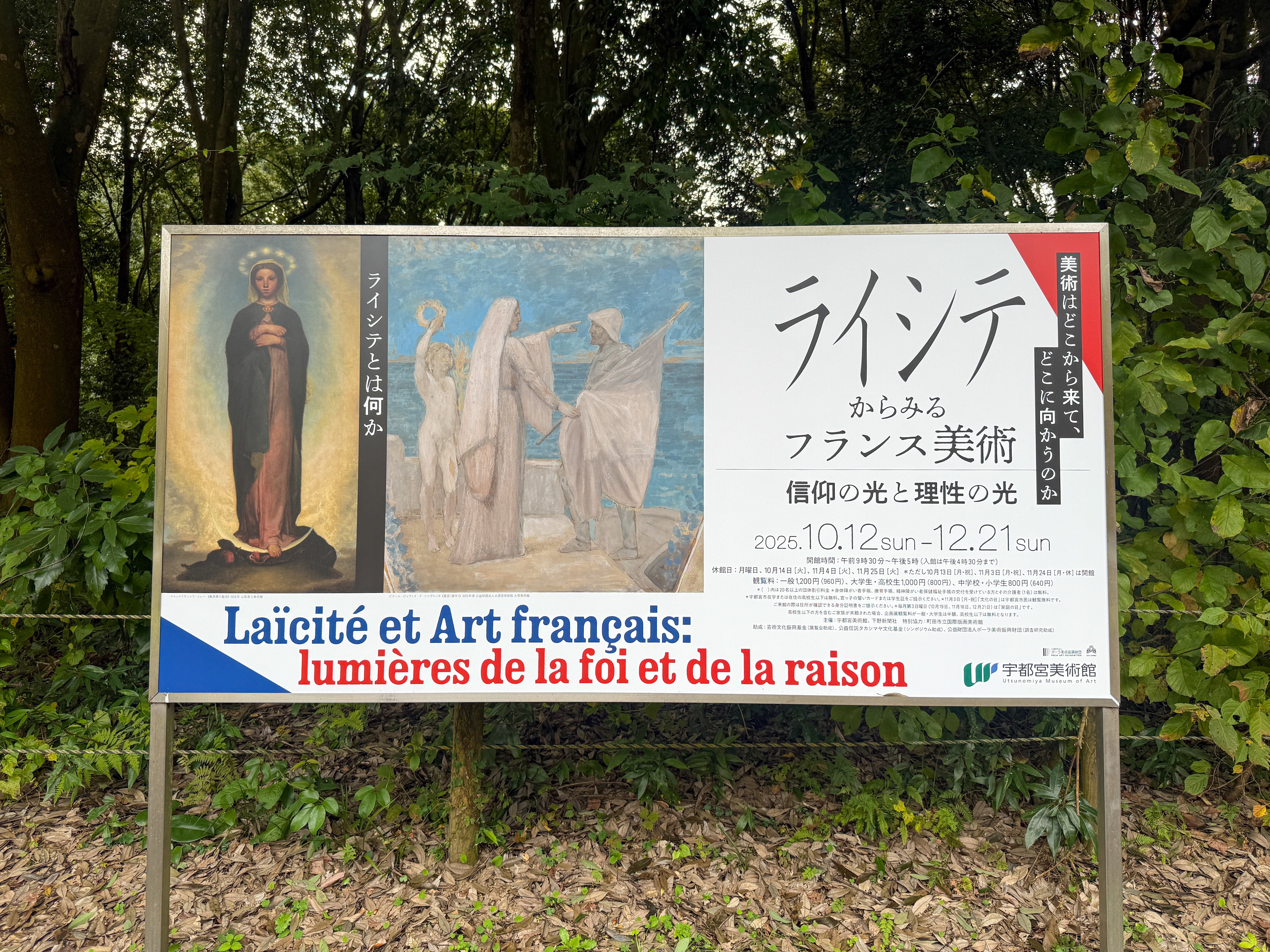 美術館レポ┊栃木】宇都宮美術館へ𓂃森を抜けて出会う「ライシテ」の