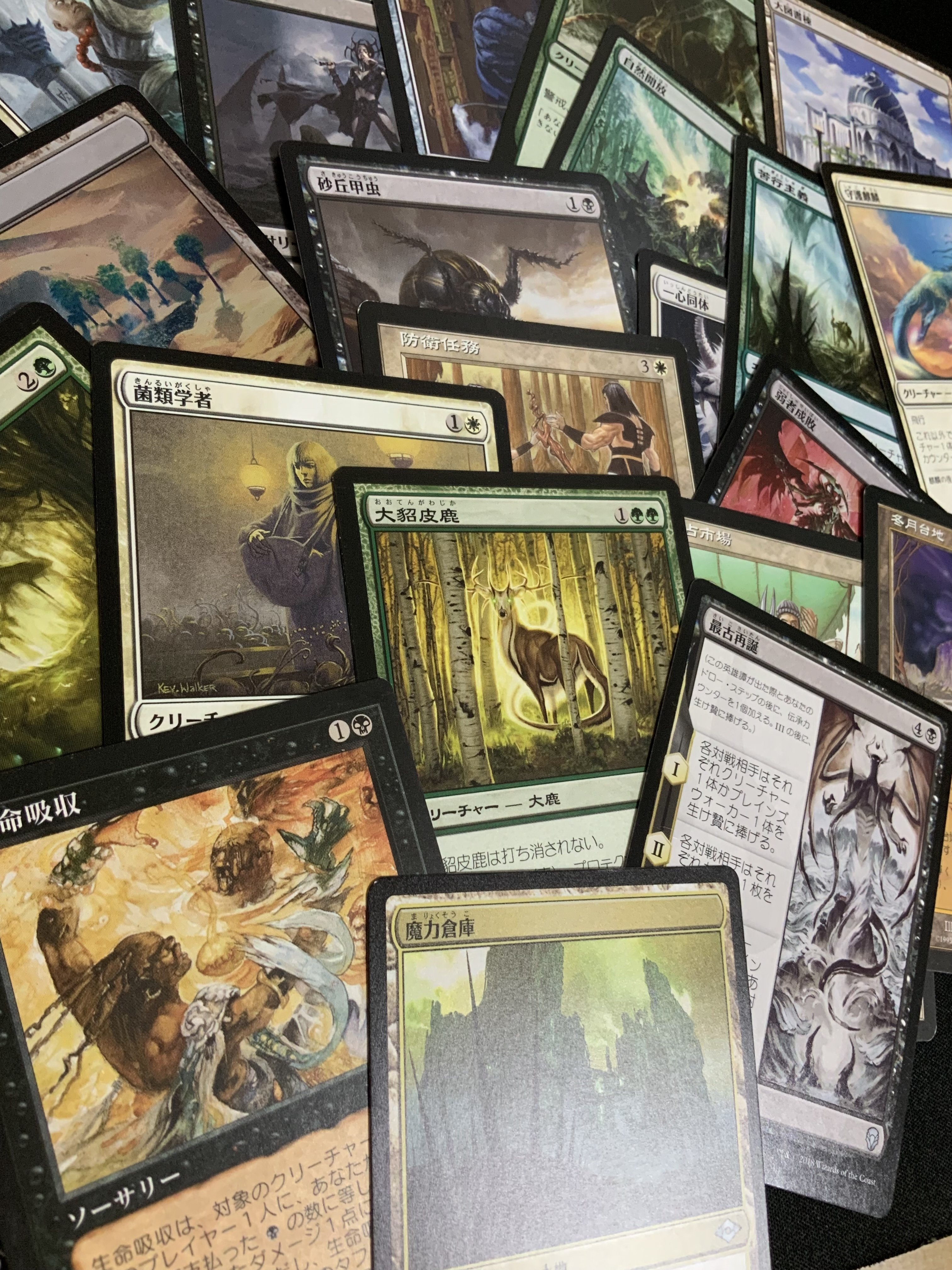 MTG/統率者】四字熟語EDH①作成のキッカケ｜ヨンティティ