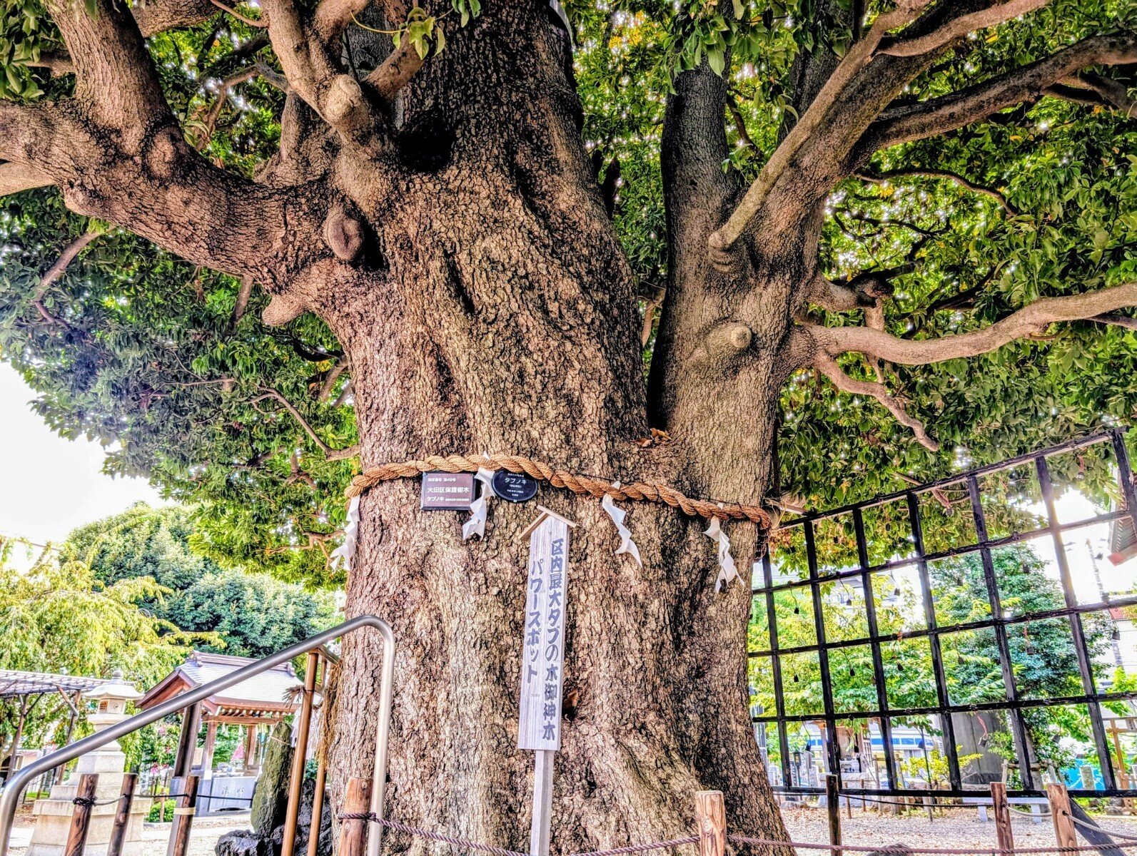 縁結びや復縁成就のパワースポット✨東京都大田区の嶺白山神社さん