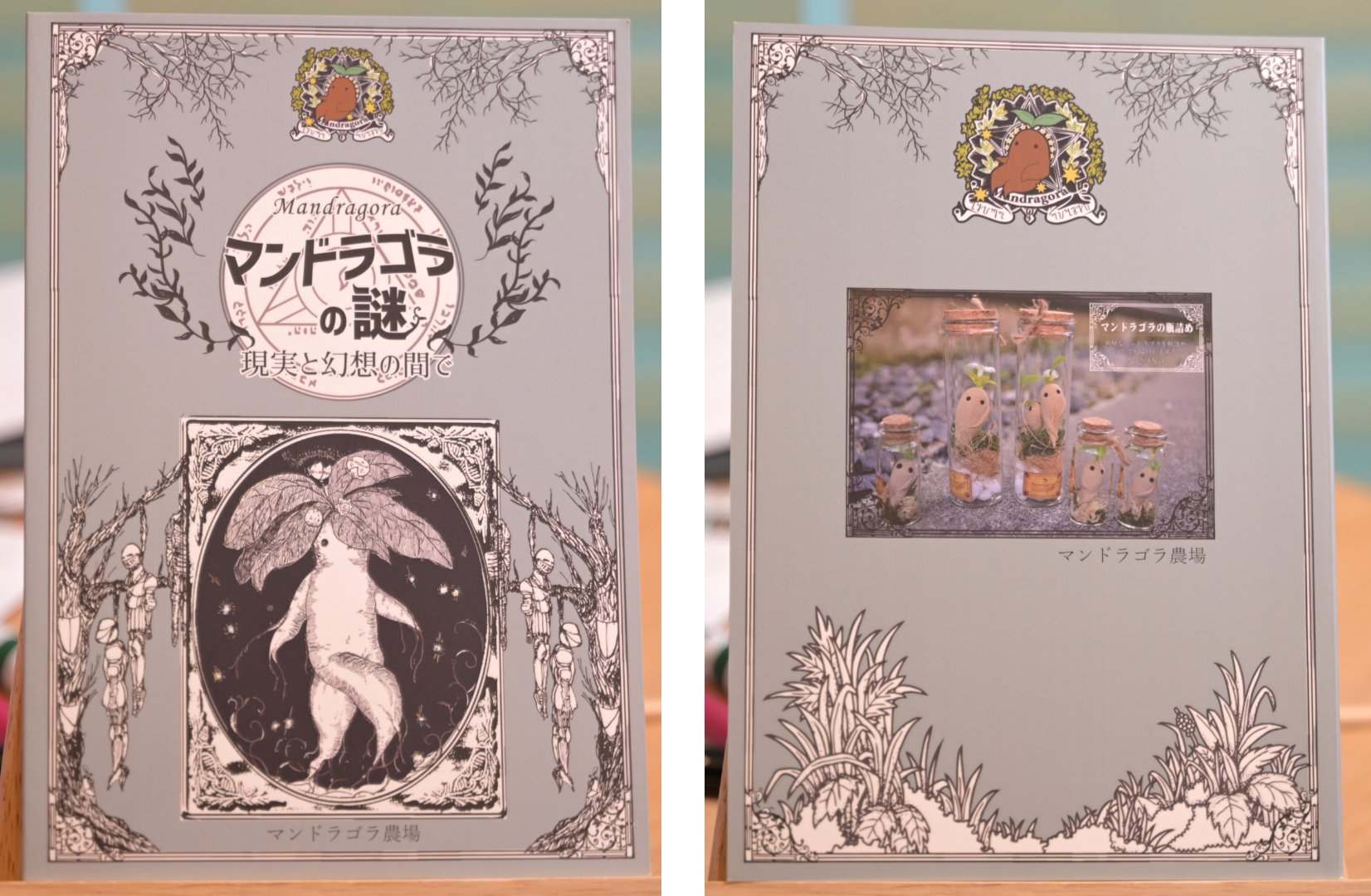 <怪奇植物誌>マンドラゴラ夢想（全初版レア‼️）3冊セット おもしろ同人誌バザール」で買った本（2025/11/02）｜ばね