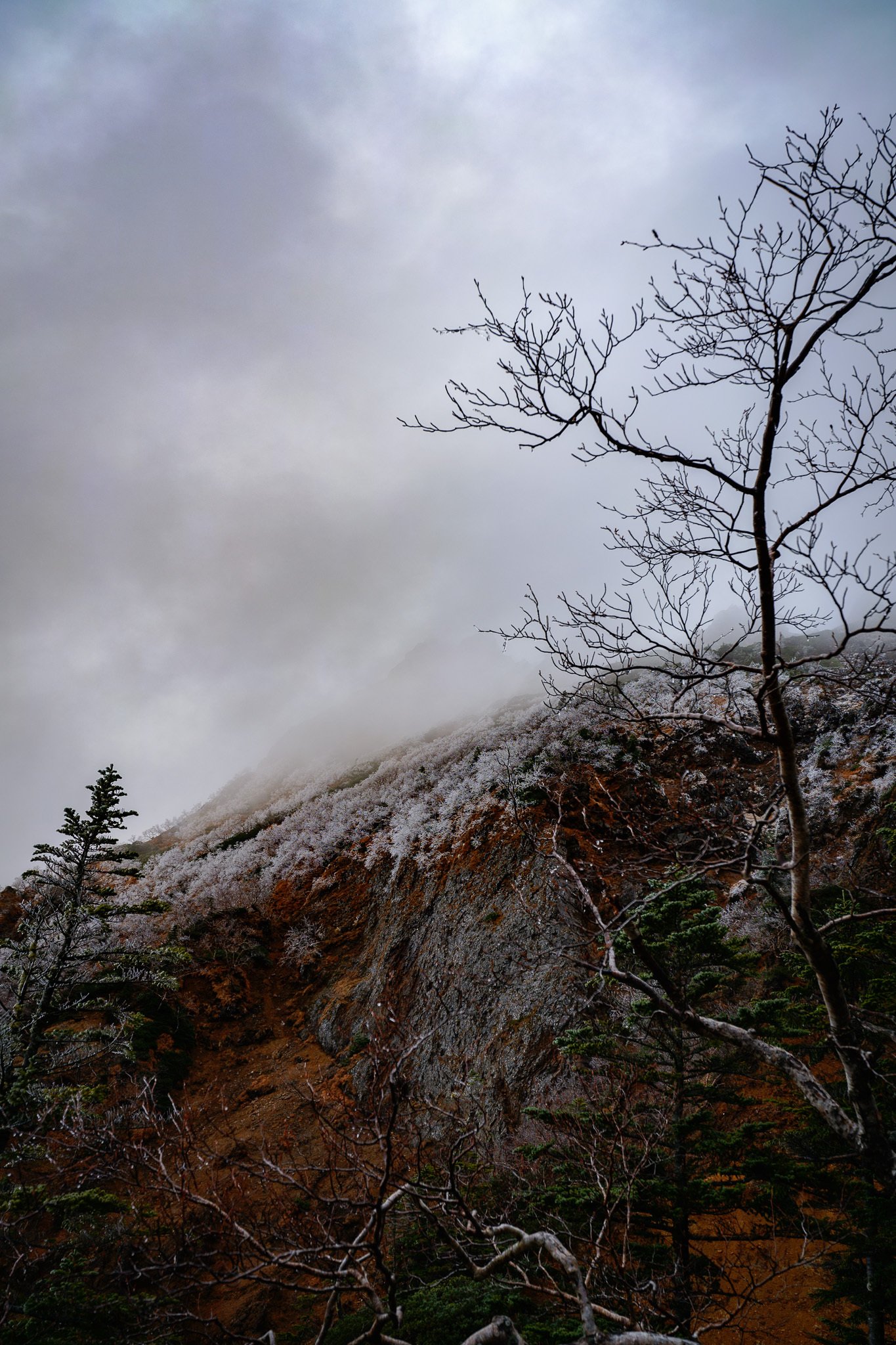 気がつけば氷の世界の八ヶ岳。風と雪と茜色の赤岳。｜しみじみ山歩き