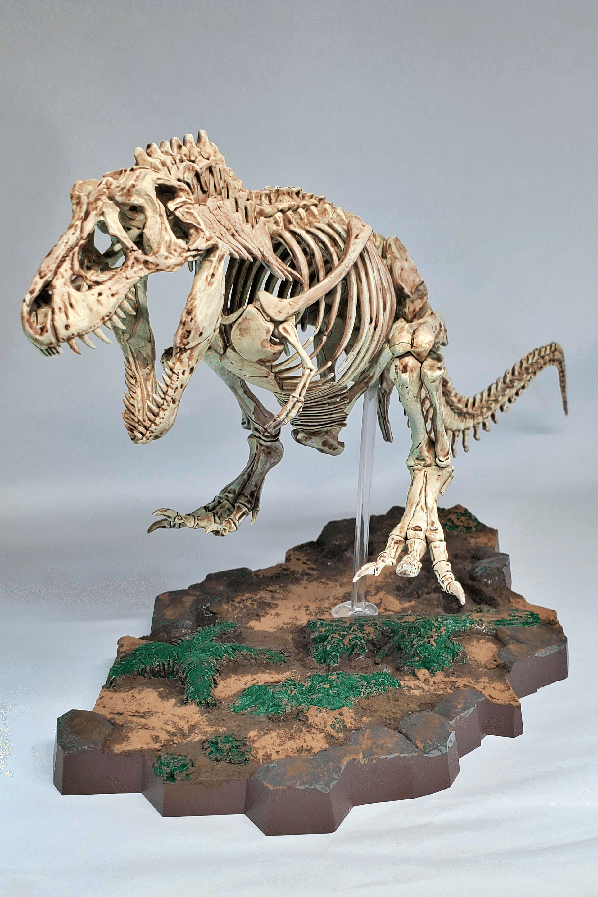 イマジナリースケルトン　ティラノサウルス　トリケラトプス　モササウルス 恐竜のプラモ Imaginary Skeletonシリーズ｜らきすし
