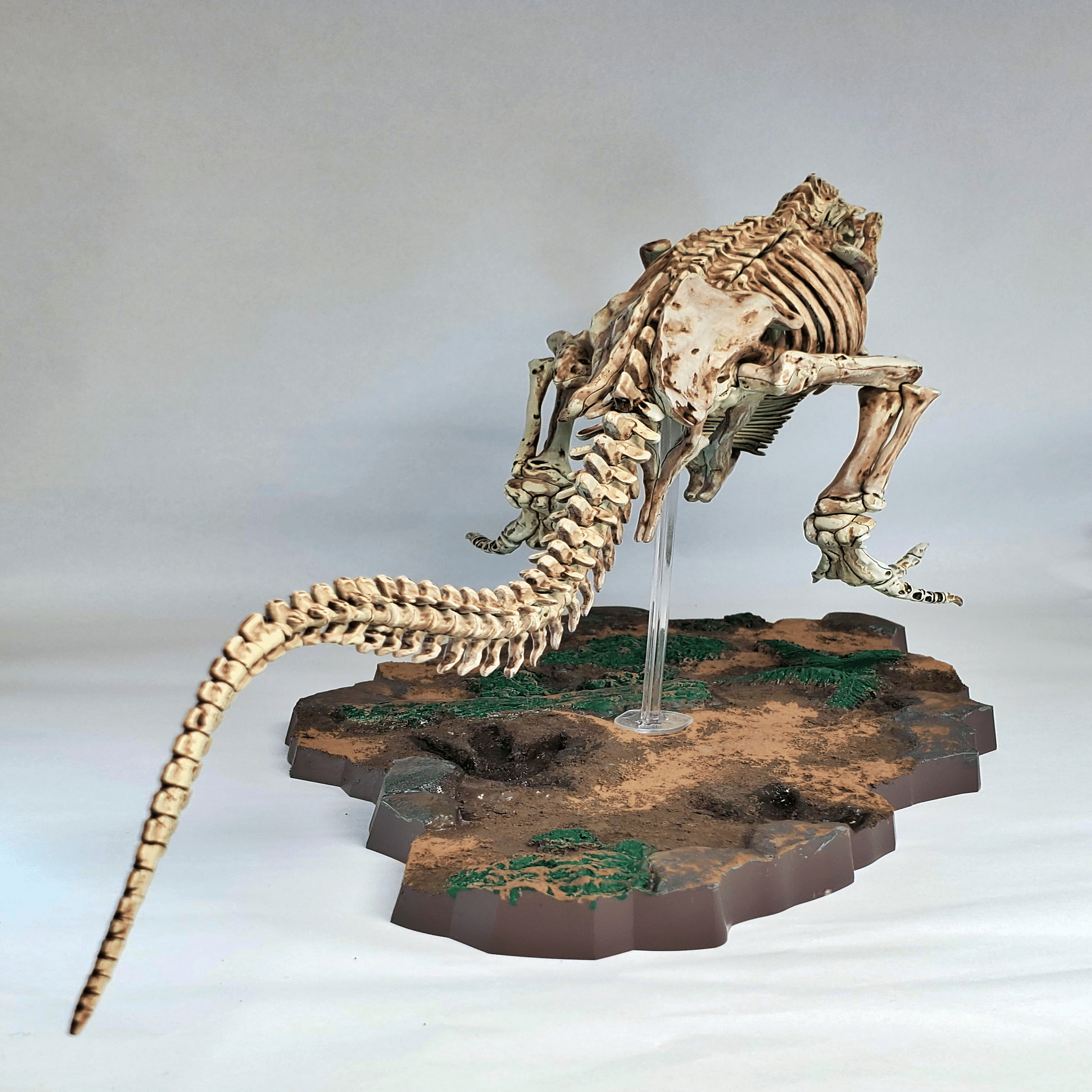 イマジナリースケルトン　ティラノサウルス　トリケラトプス　モササウルス Amazon | BANDAI SPIRITS(バンダイ スピリッツ) イマジナリー