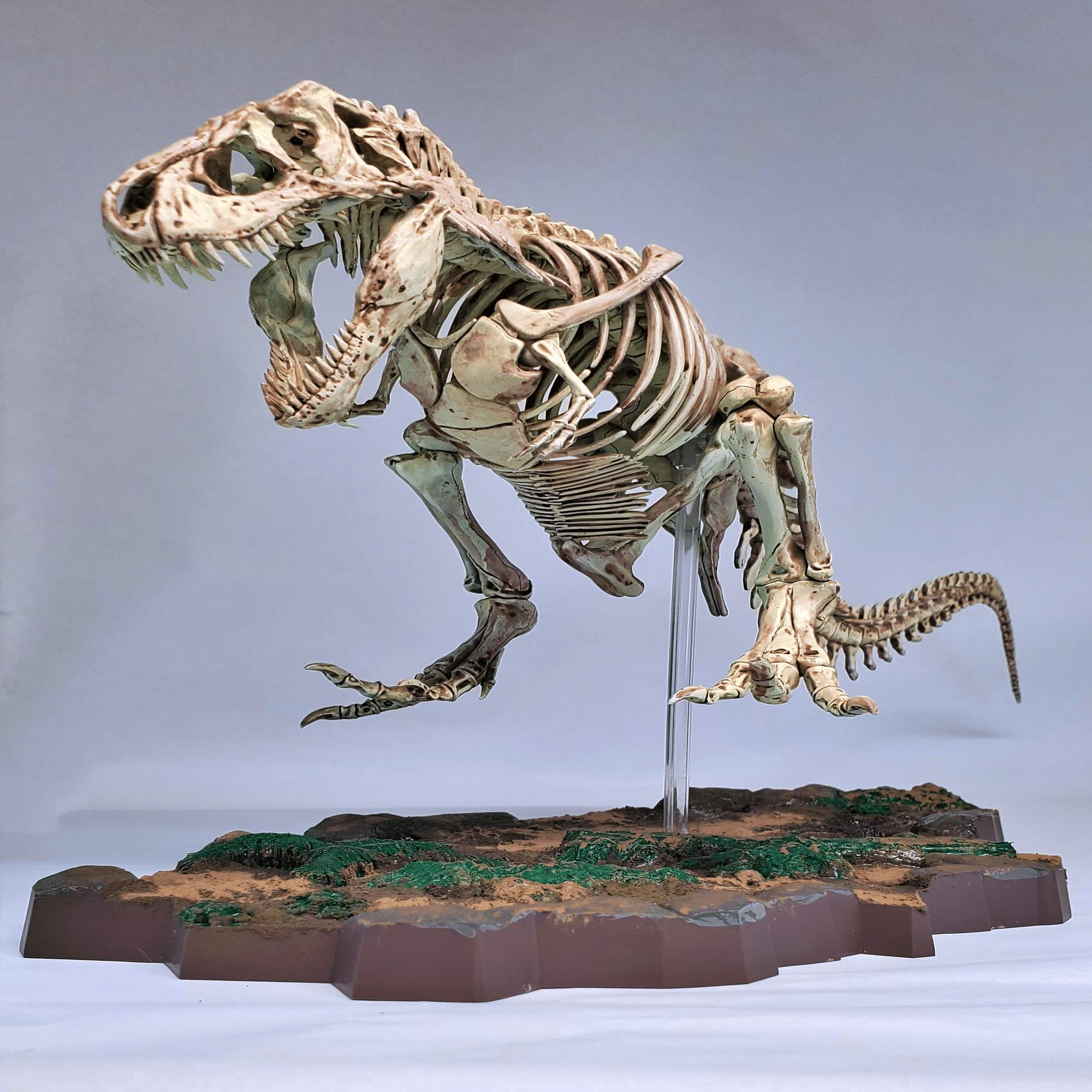 恐竜のプラモ Imaginary Skeletonシリーズ｜らきすし