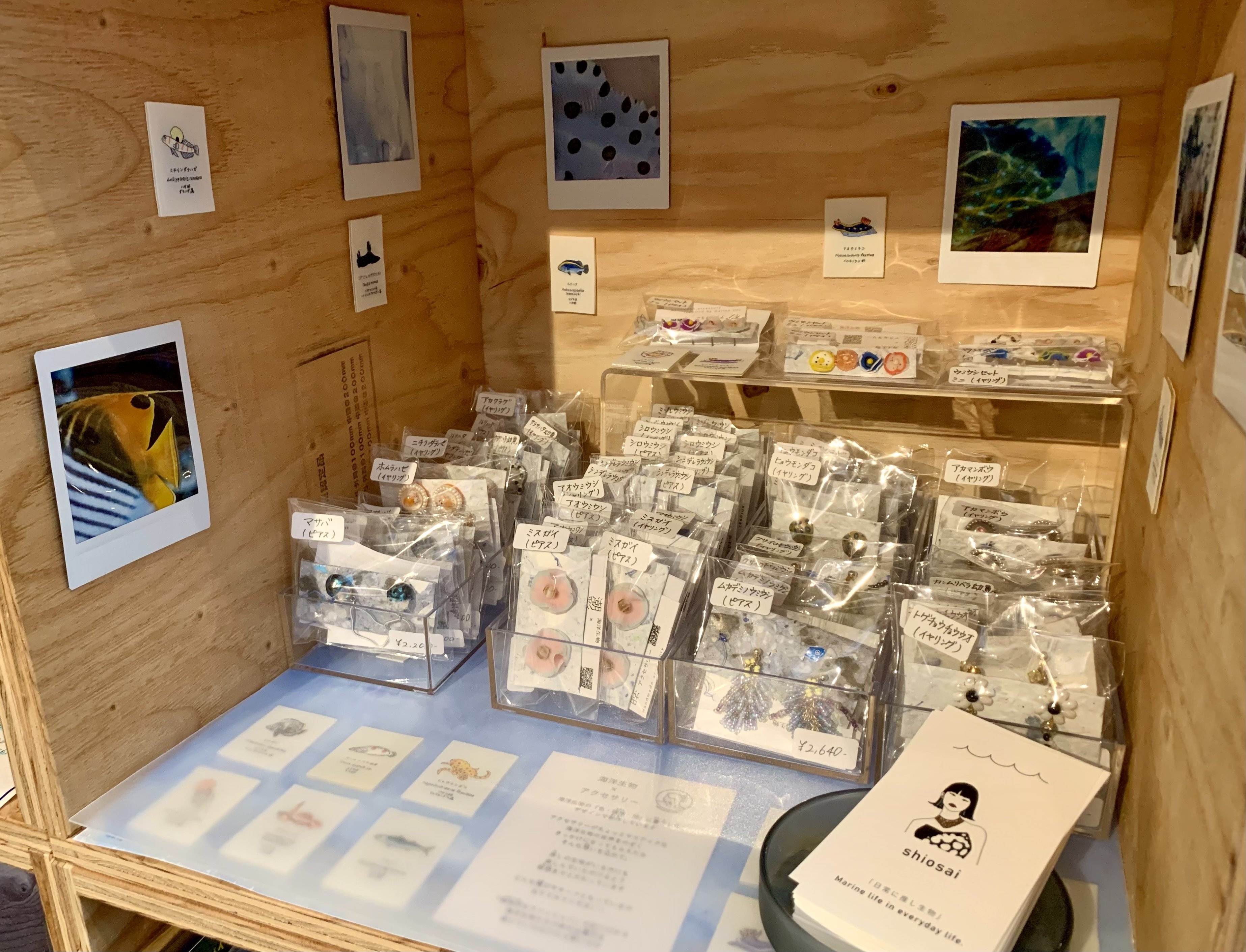 多様なサカナ・水生生物グッズが並ぶ『SAKANA APARTMENT』に入居する