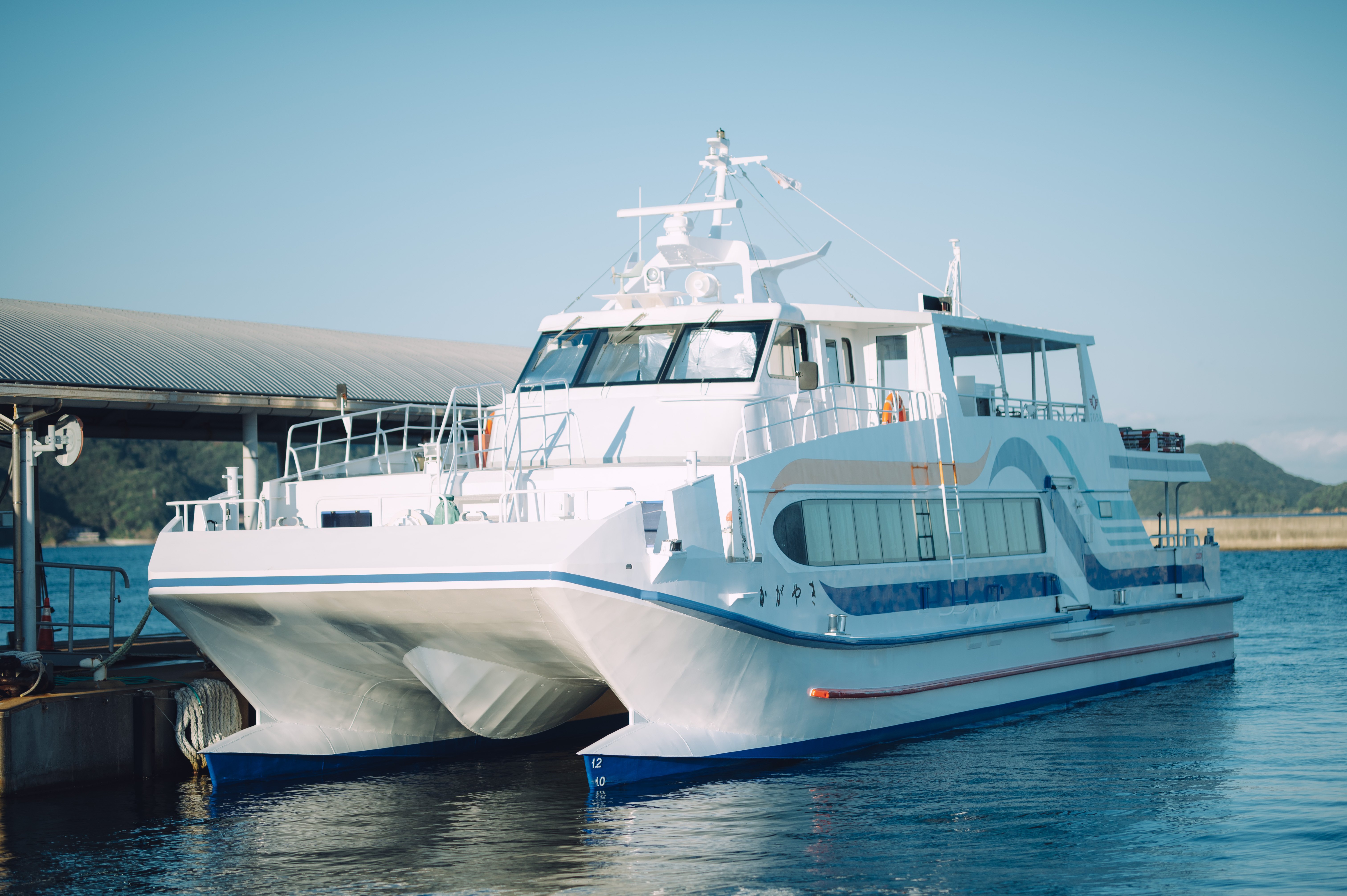 Nikon D780×鳥羽水族館｜yugesun