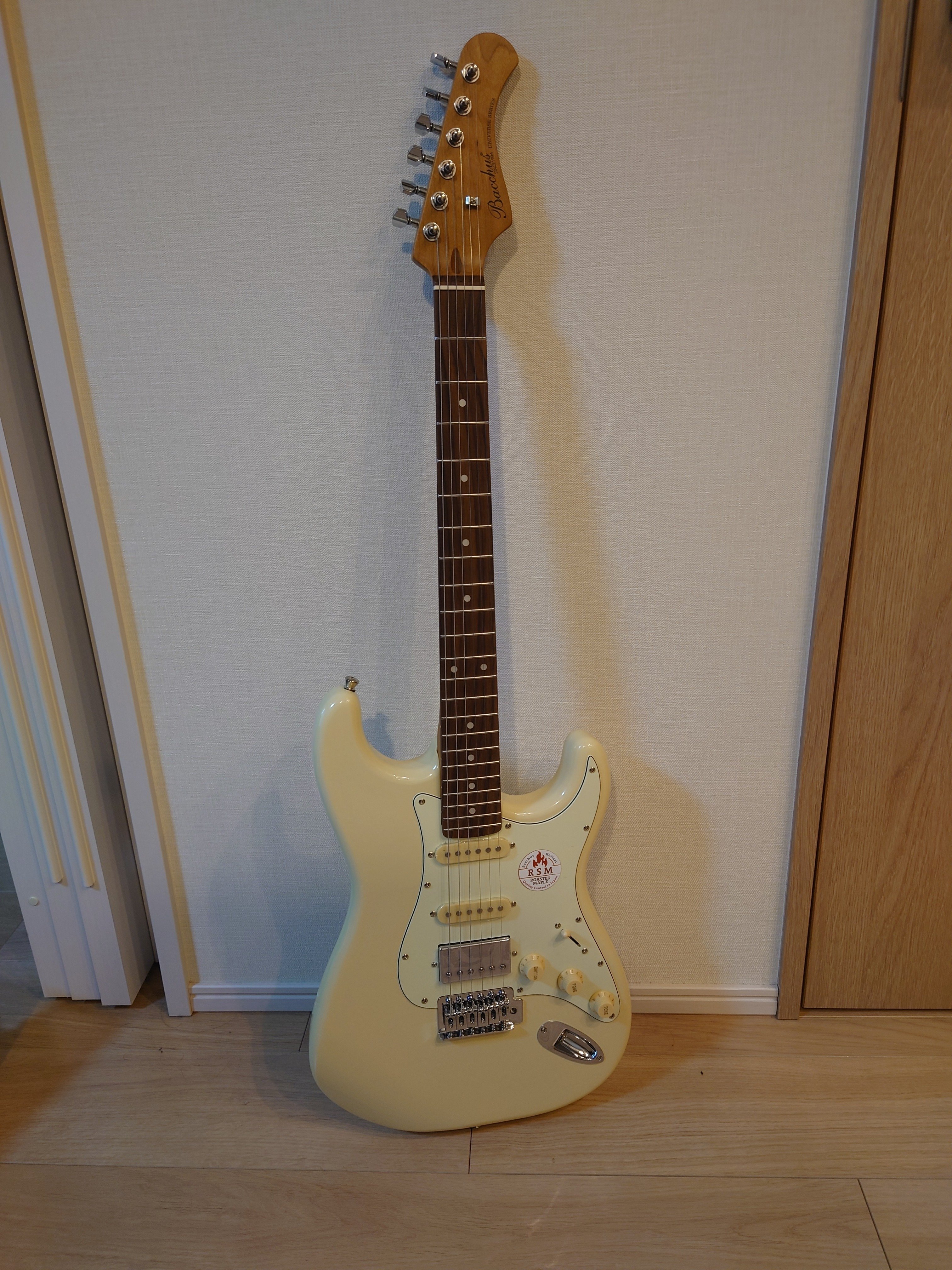 BacchusのBST-2-RSMを購入したらいつの間にかカスタムしてた｜かなむら