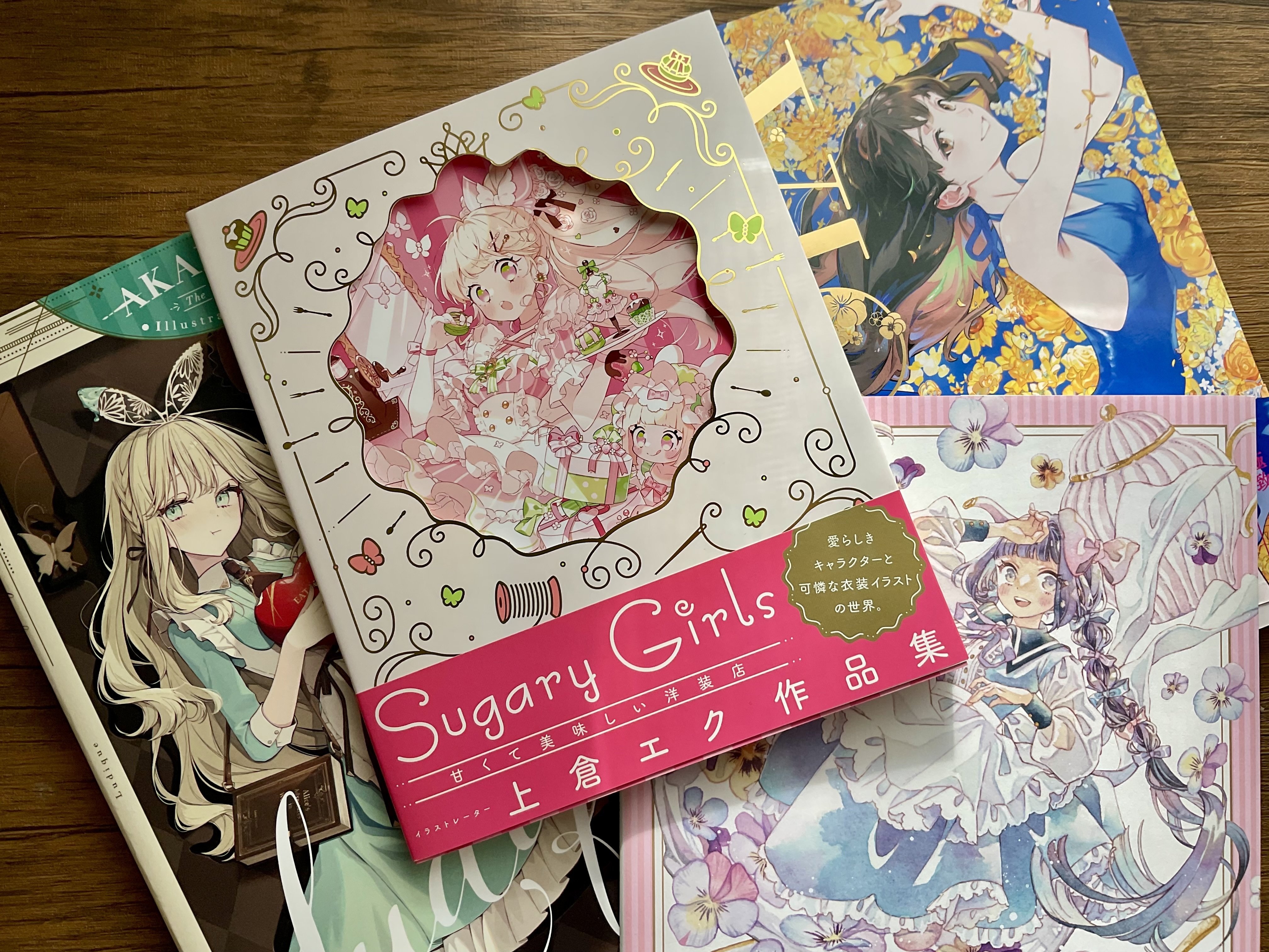 イラスト参考書の“選び方”｜陸離