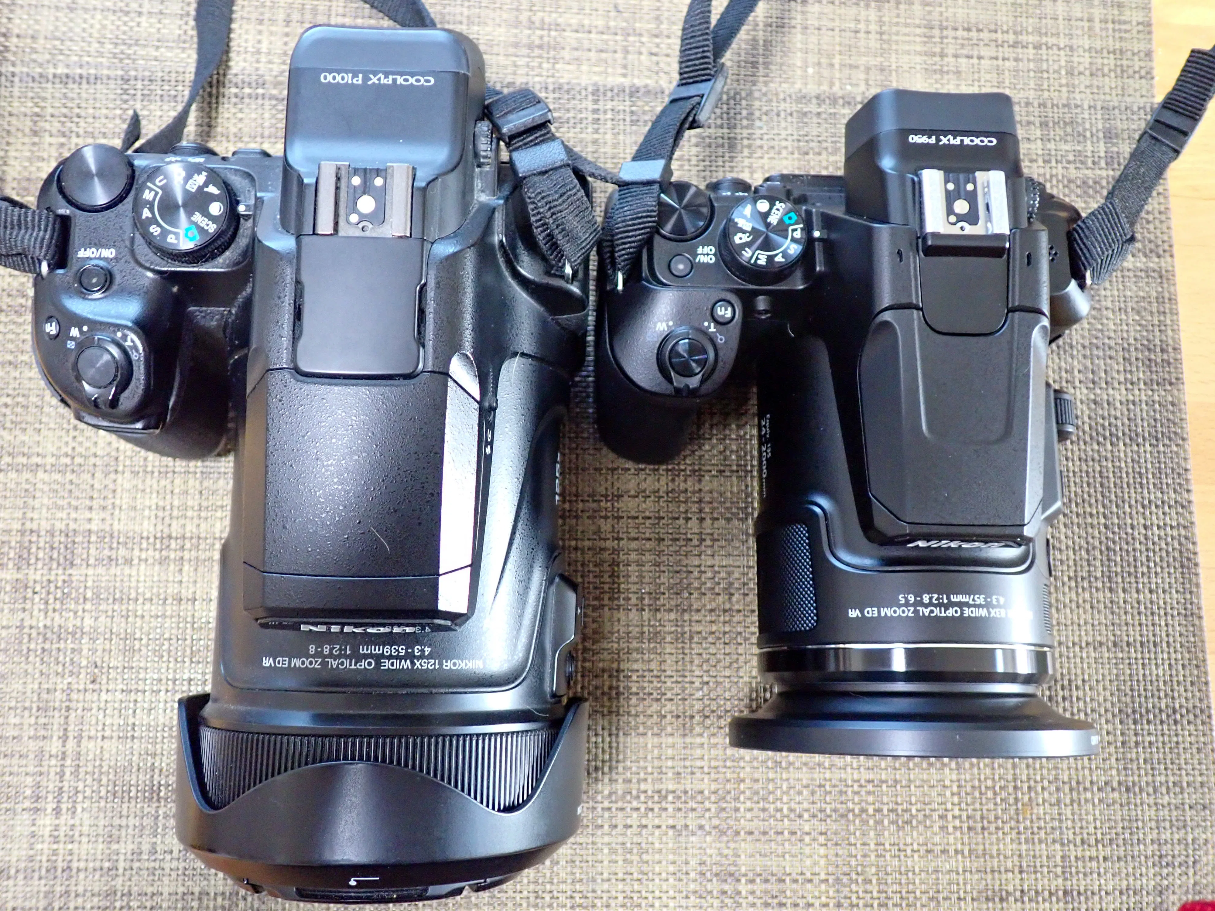 NIKON COOLPIX P950を買いました（今更😅）｜セるしうす
